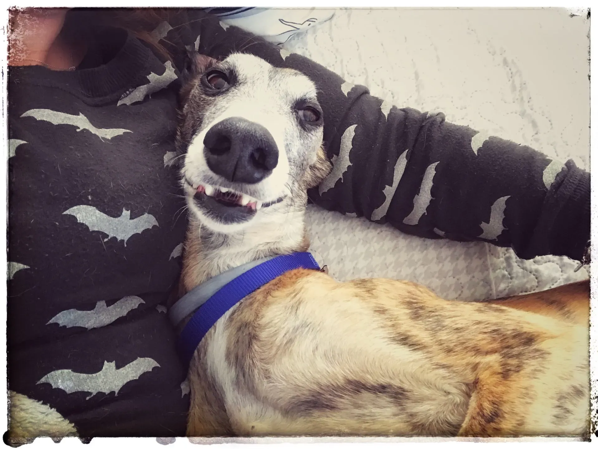 FullSizeRender 10 04 18 15 29 3