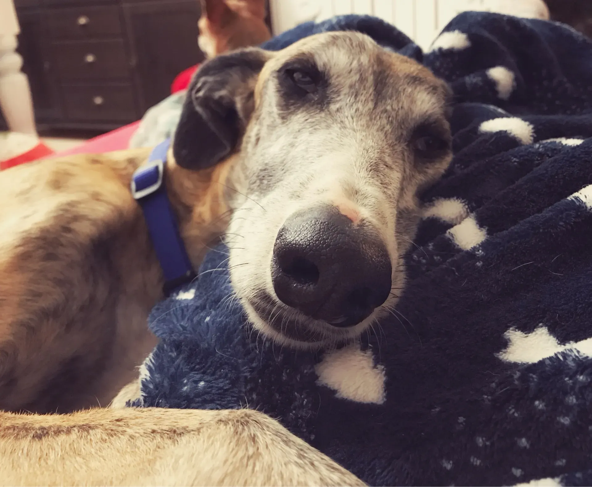 FullSizeRender 10 04 18 15 29