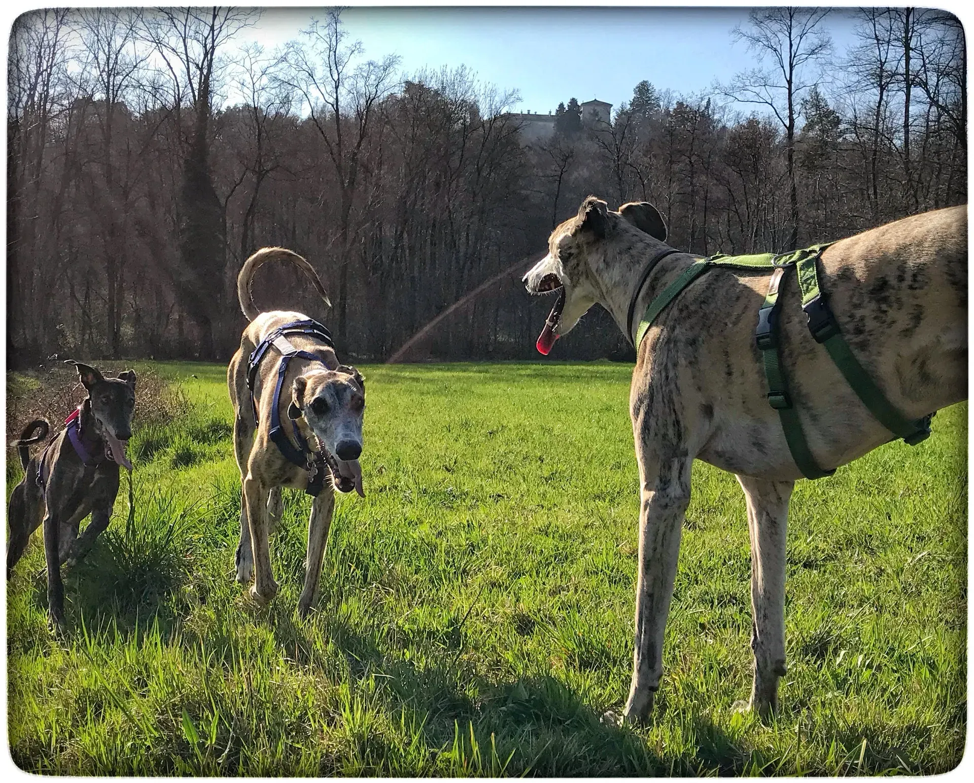 FullSizeRender 10 04 18 15 31 1