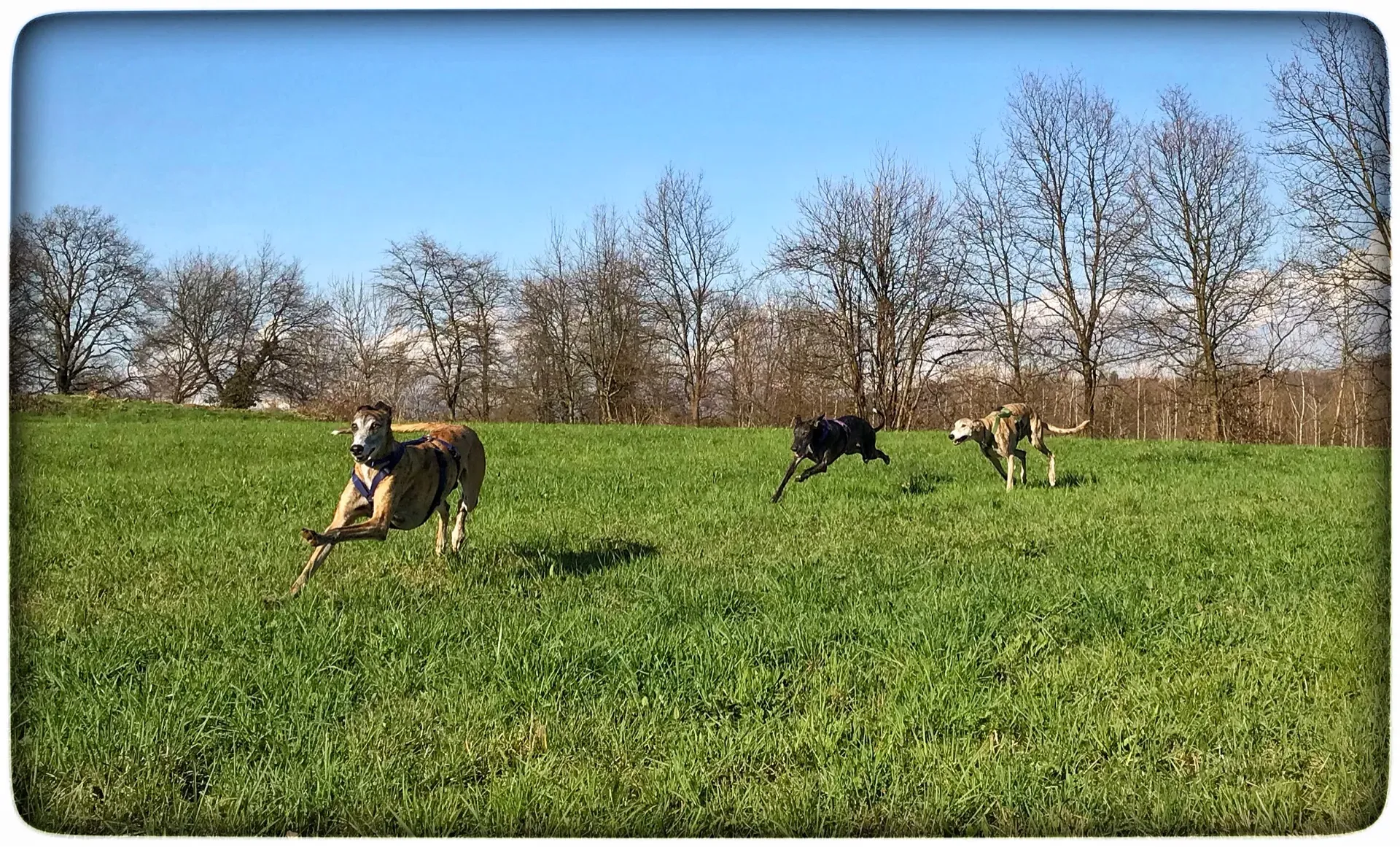 FullSizeRender 10 04 18 15 31