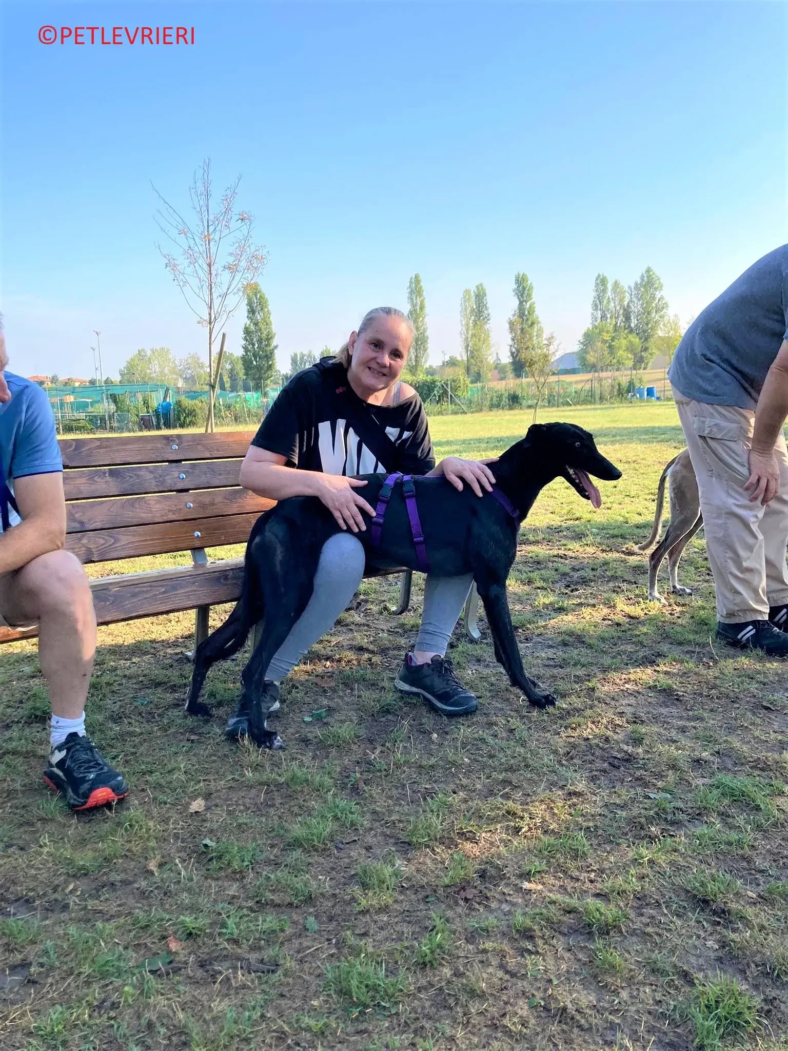 Genoa adozione levrieri greyhound.12 2