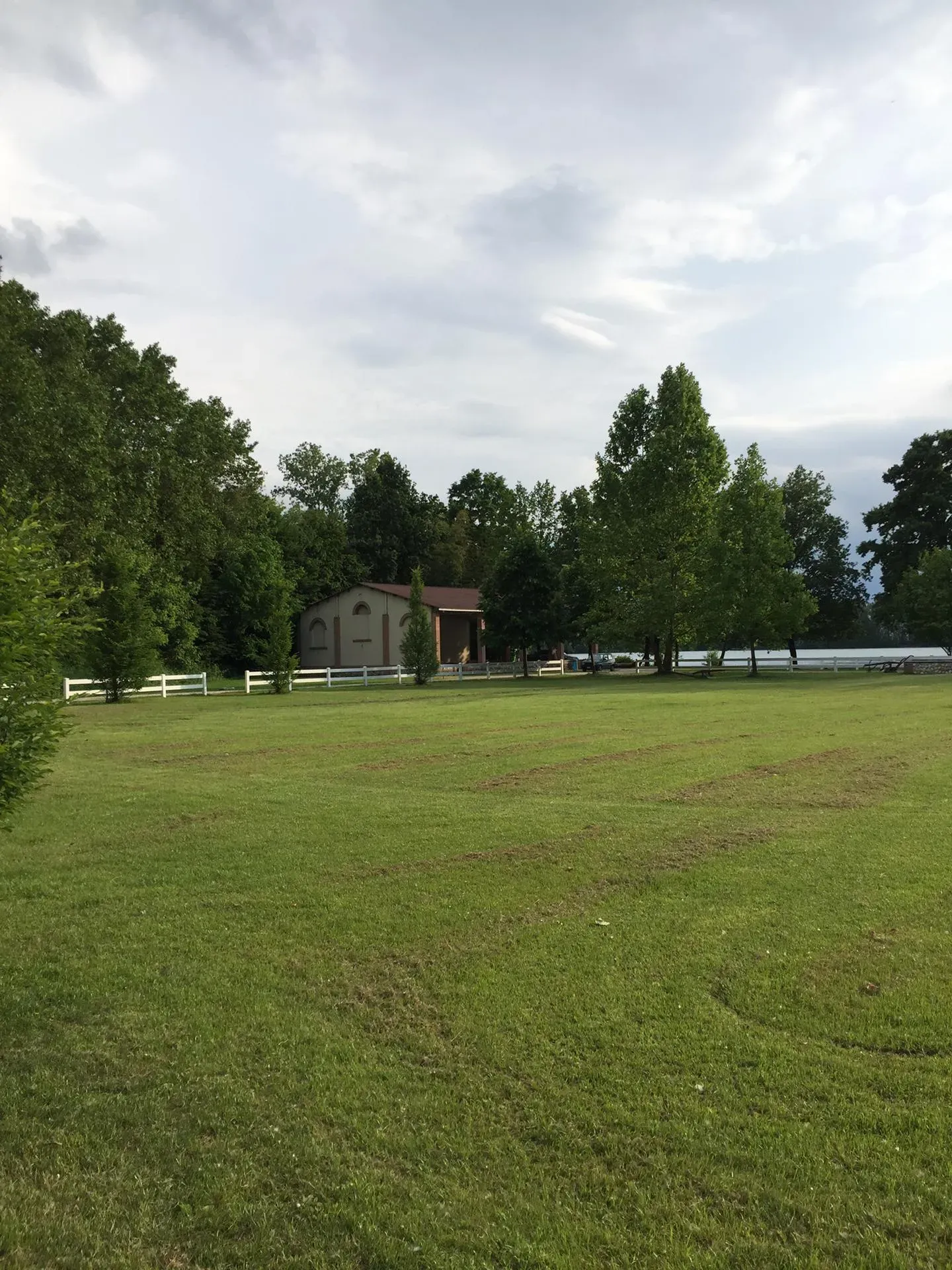 Grey Macau Pet levrieri location10