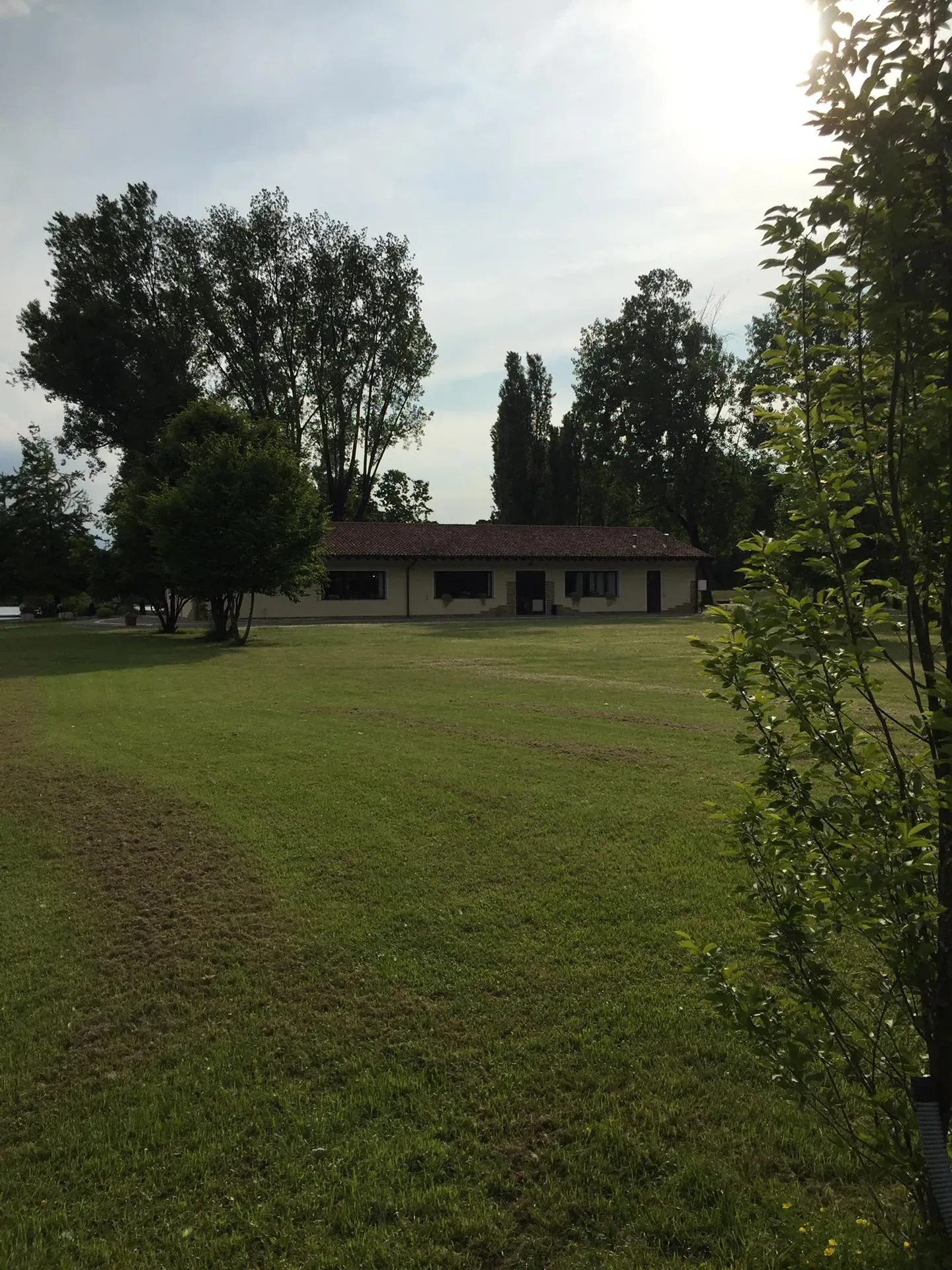 Grey Macau Pet levrieri location11