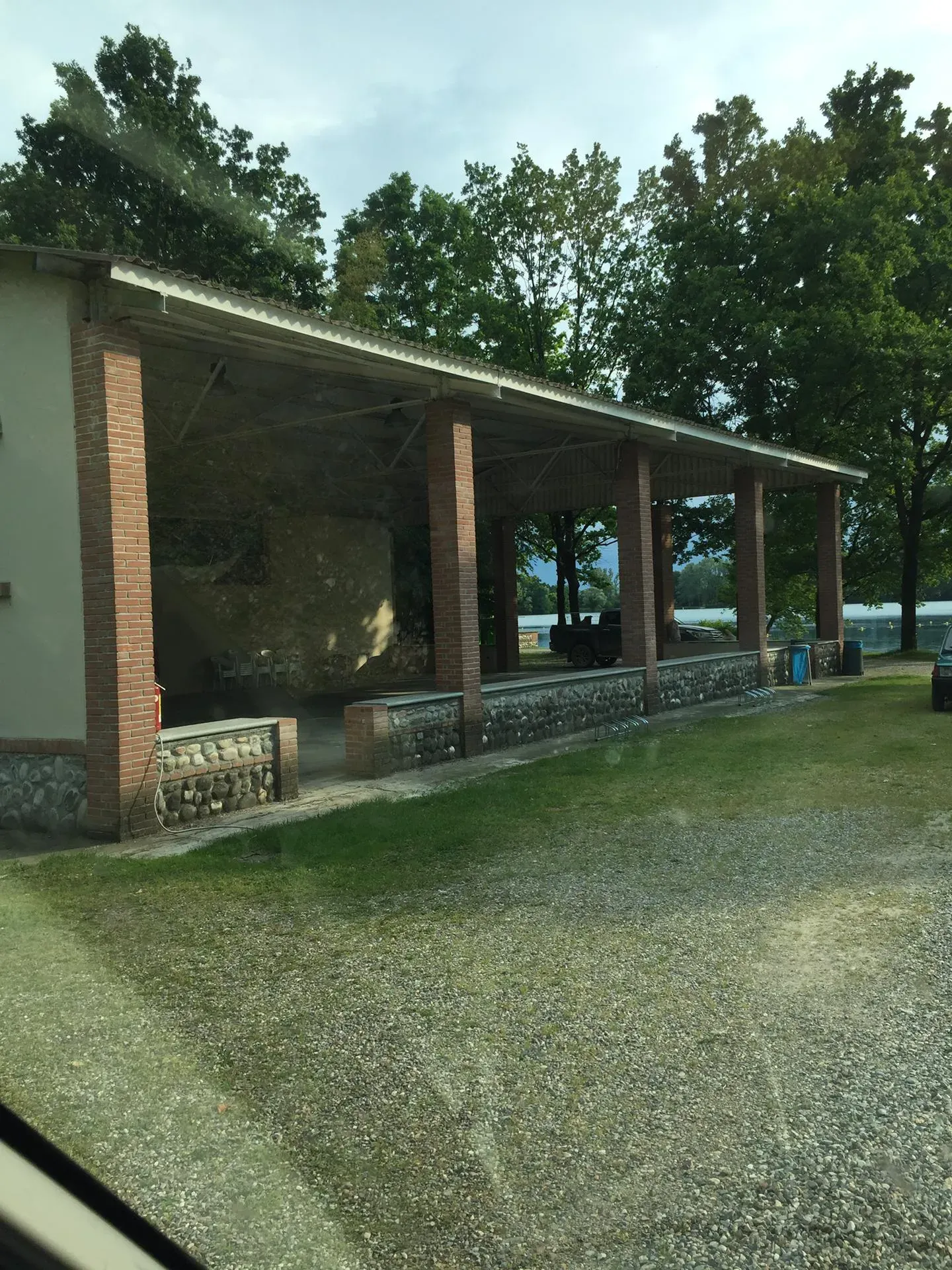 Grey Macau Pet levrieri location12