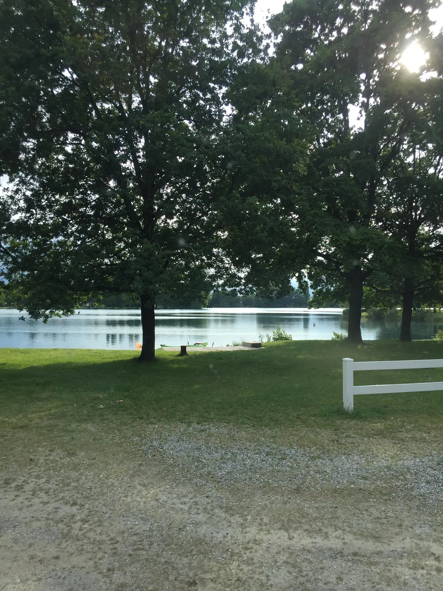 Grey Macau Pet levrieri location13