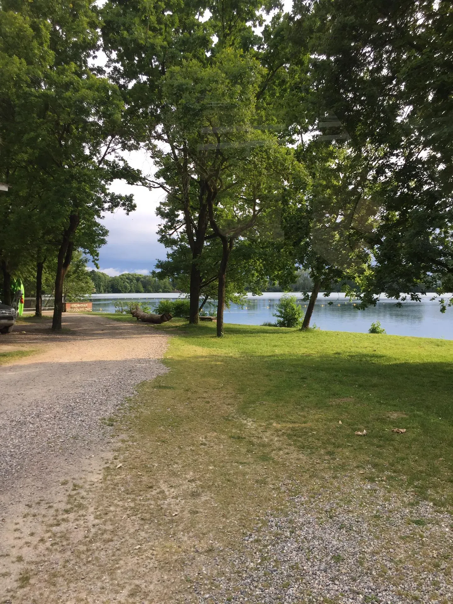 Grey Macau Pet levrieri location14