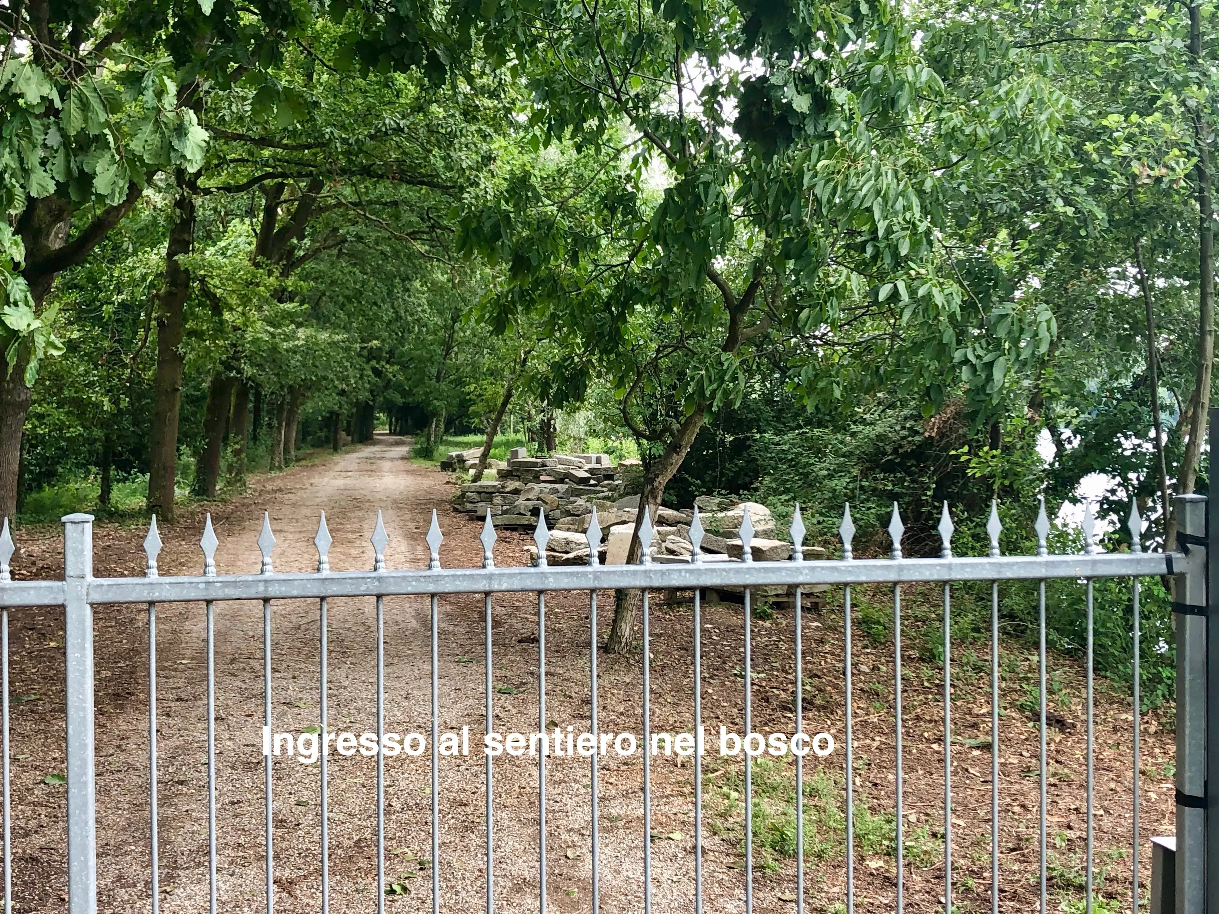 Grey Macau Pet levrieri location15