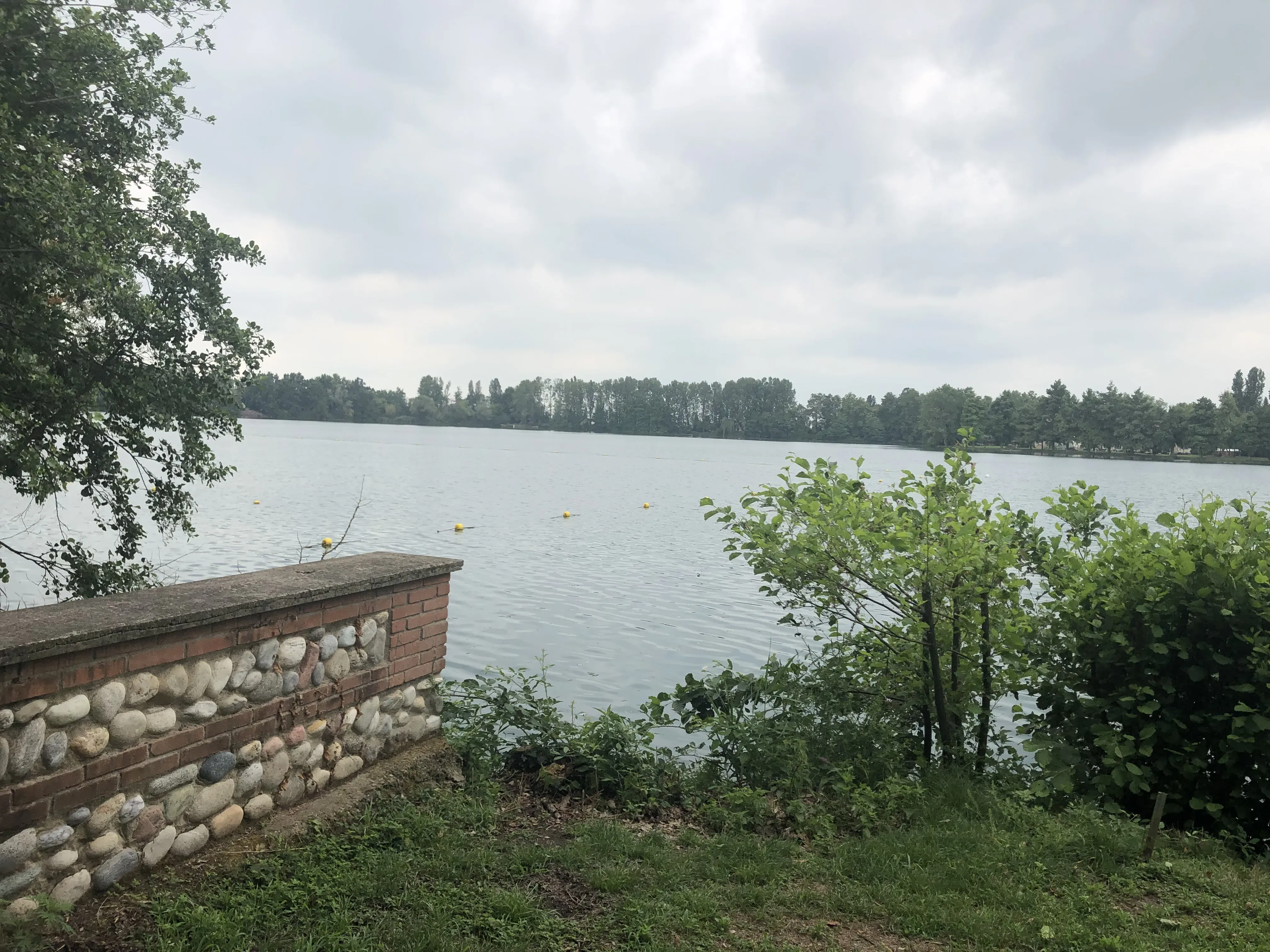 Grey Macau Pet levrieri location16