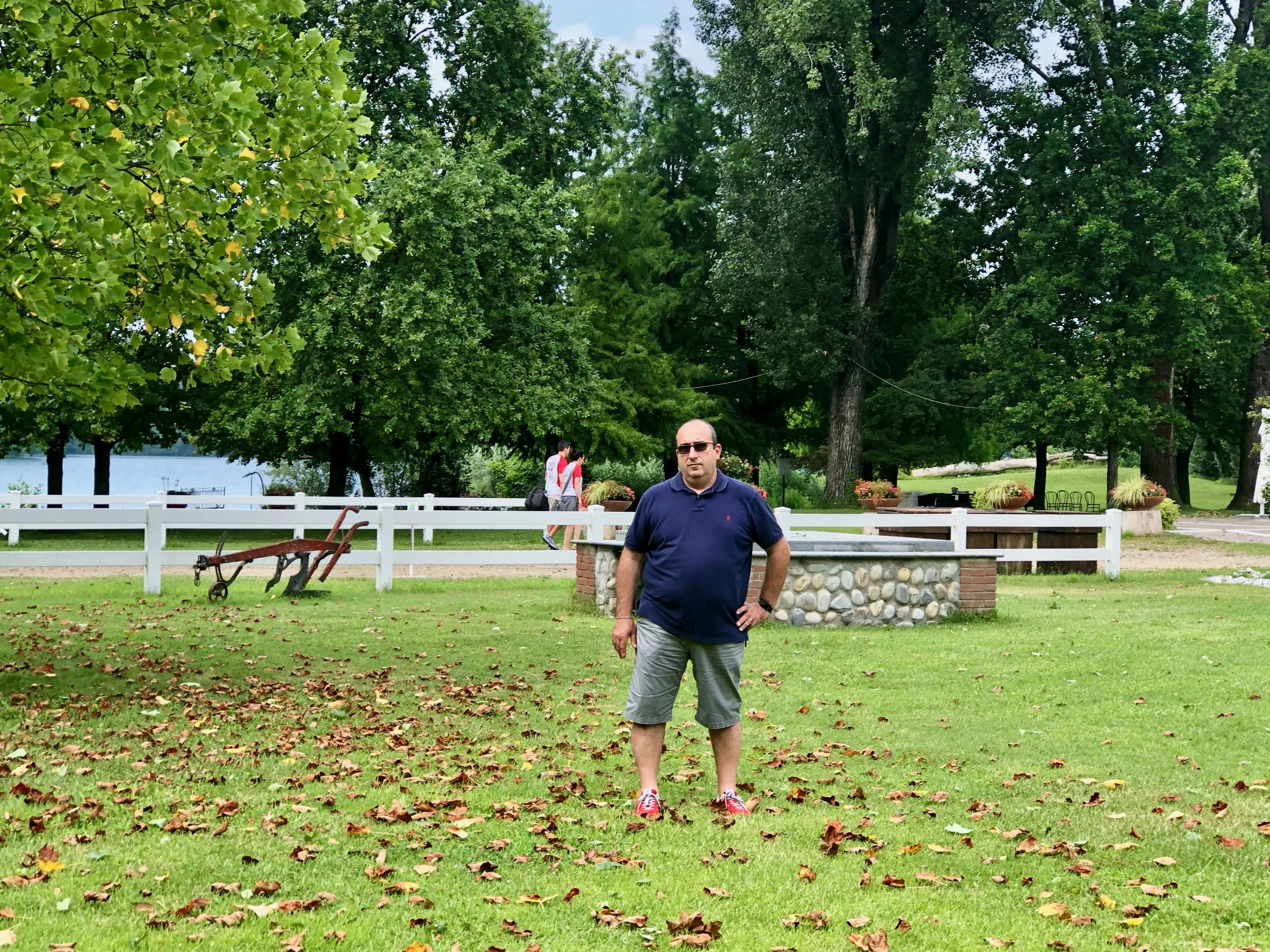 Grey Macau Pet levrieri location18