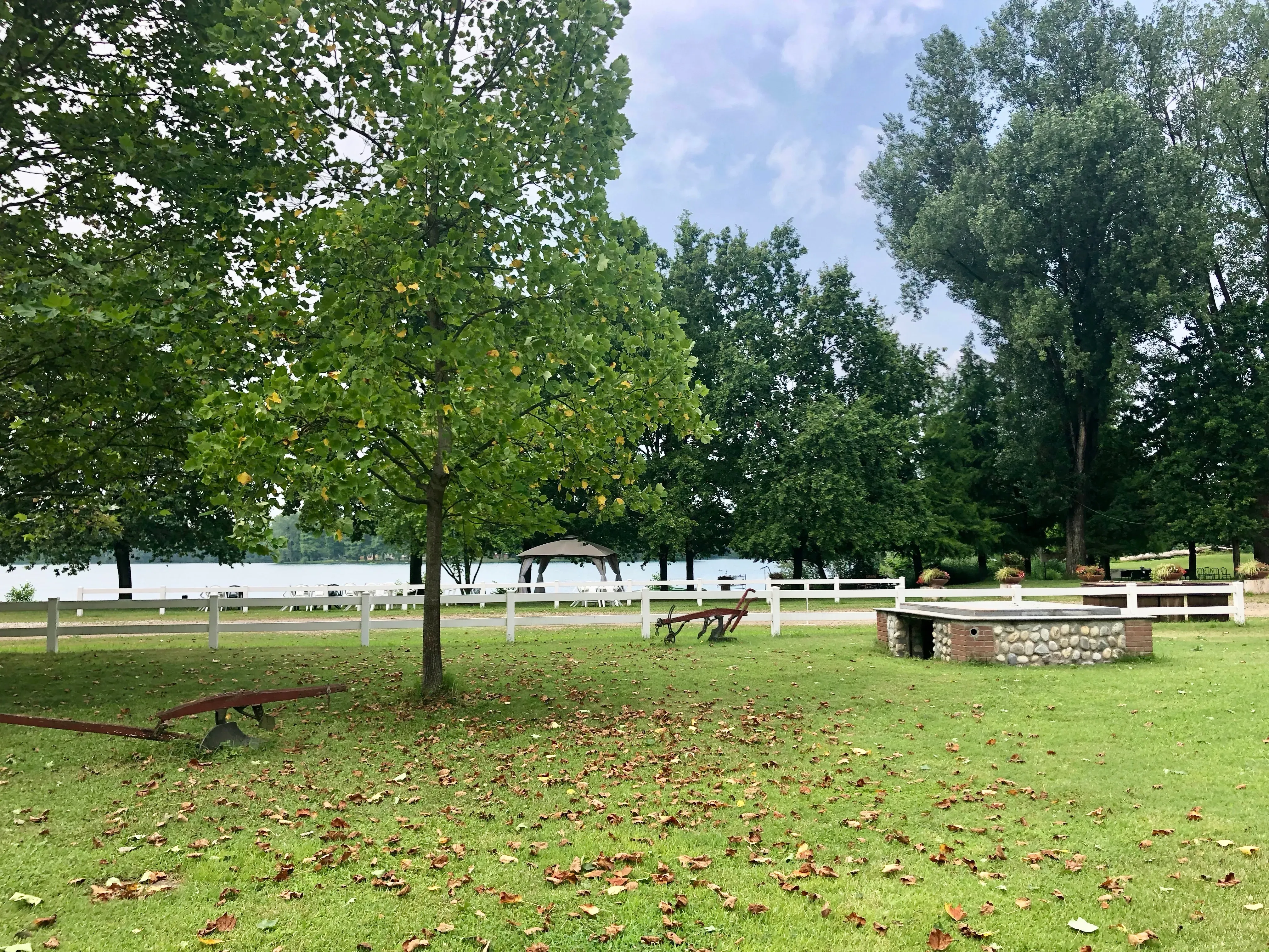 Grey Macau Pet levrieri location19