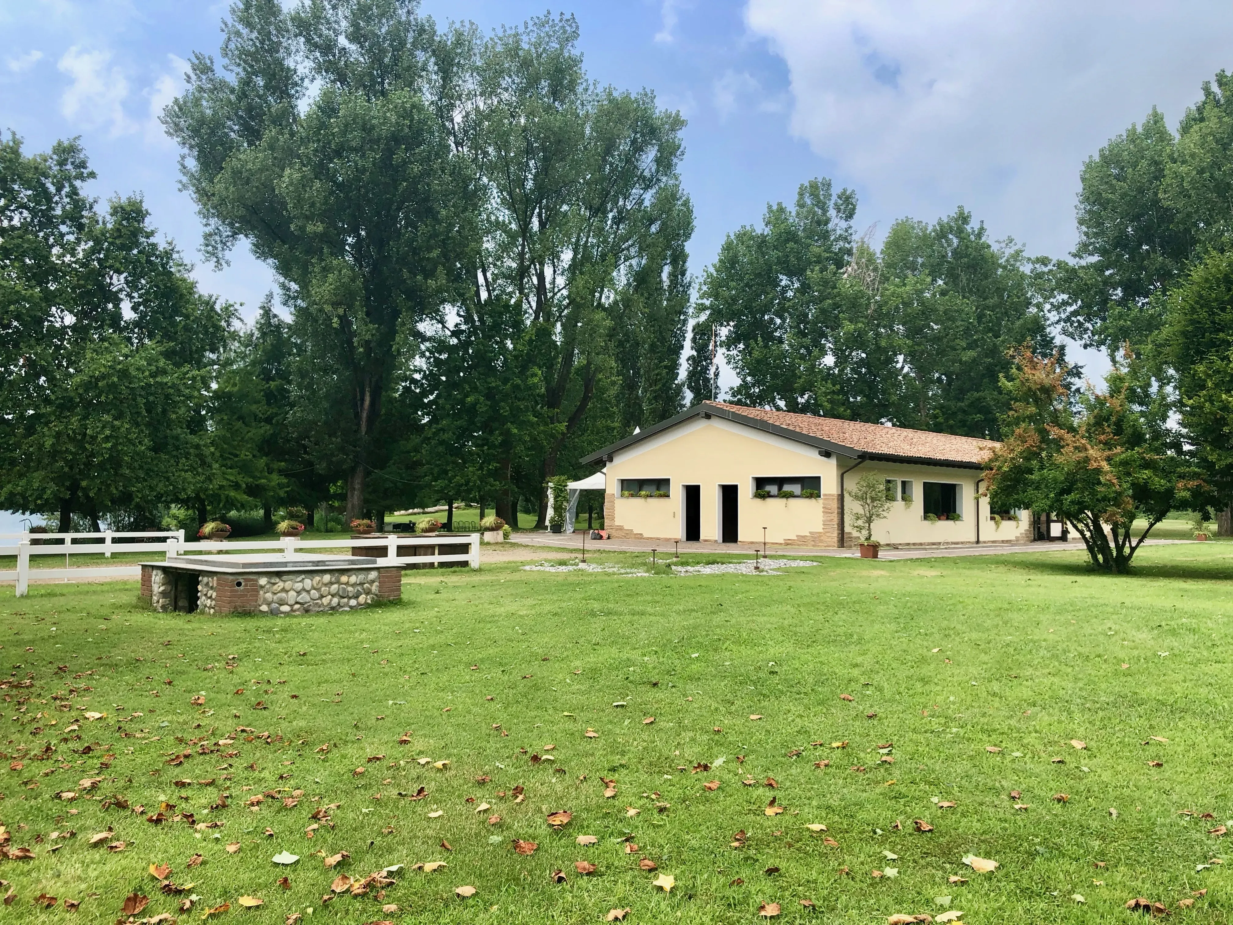 Grey Macau Pet levrieri location20