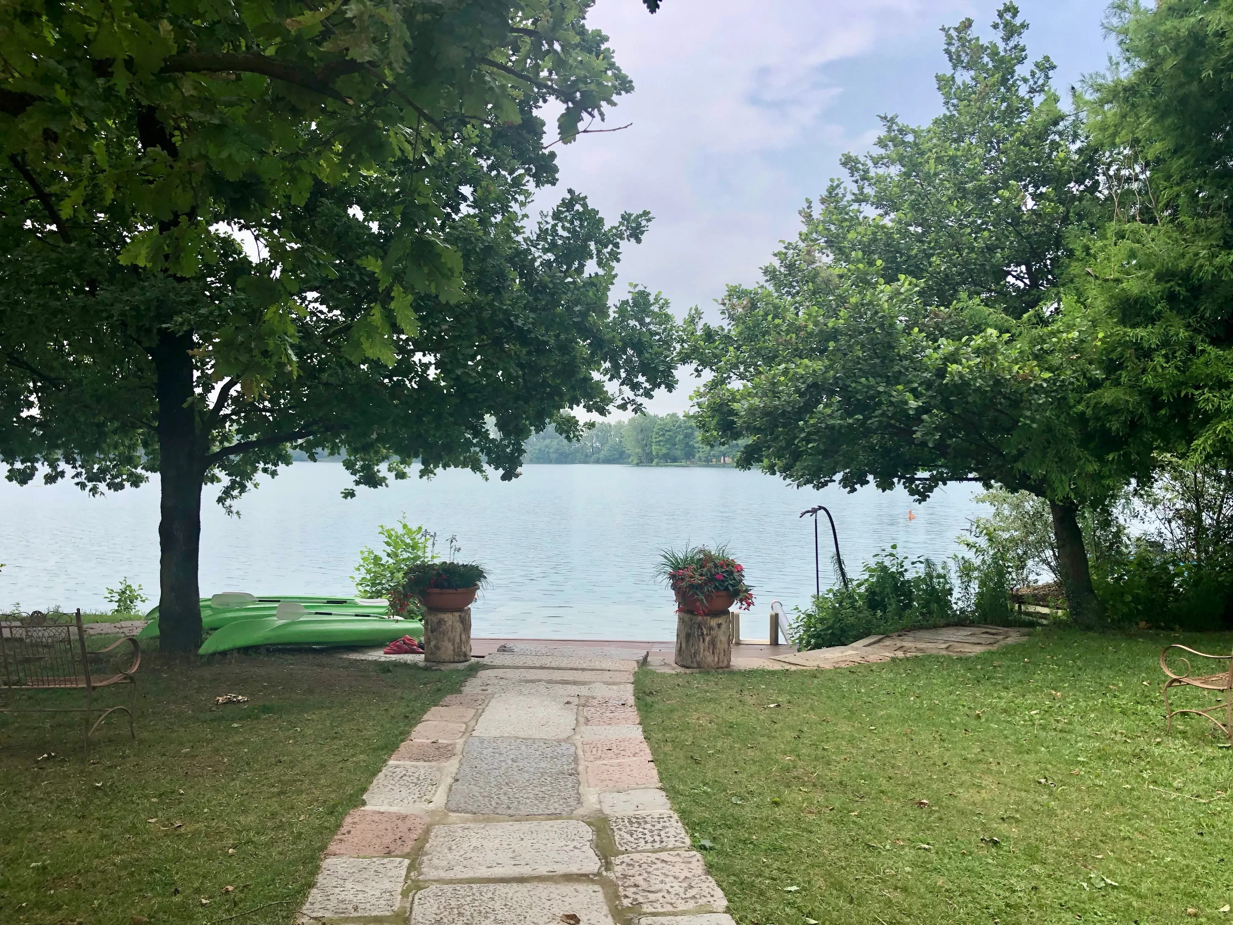 Grey Macau Pet levrieri location24