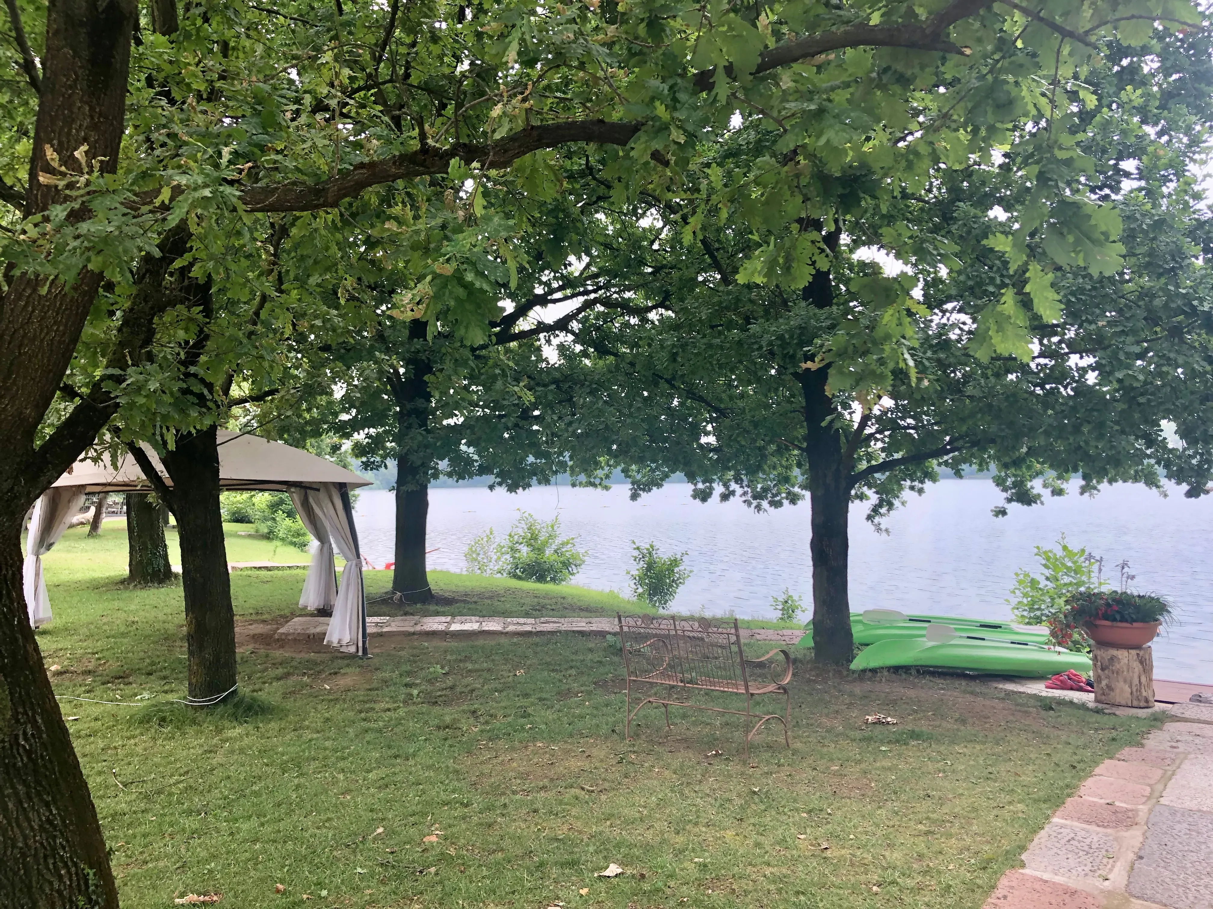 Grey Macau Pet levrieri location25