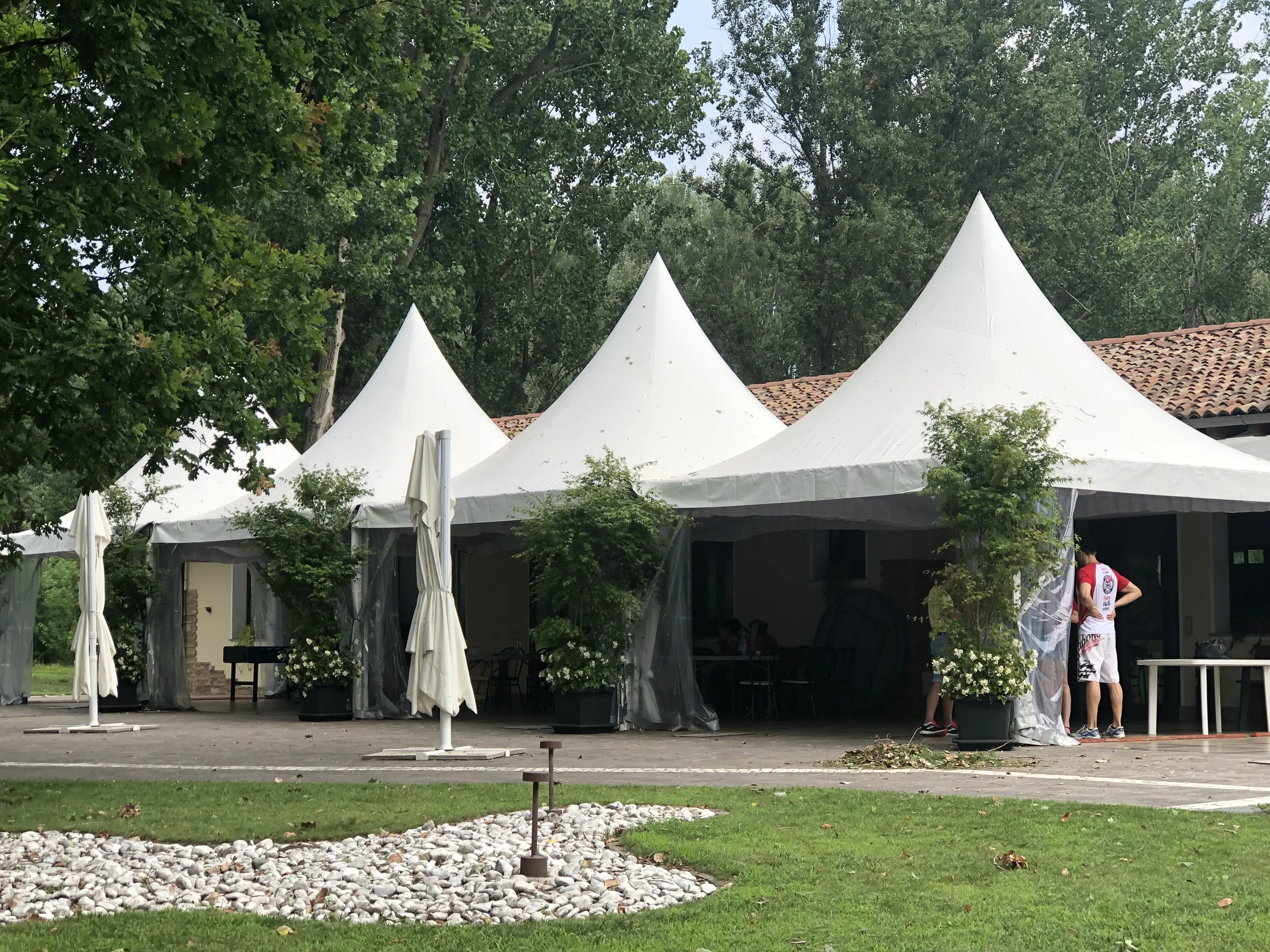 Grey Macau Pet levrieri location27