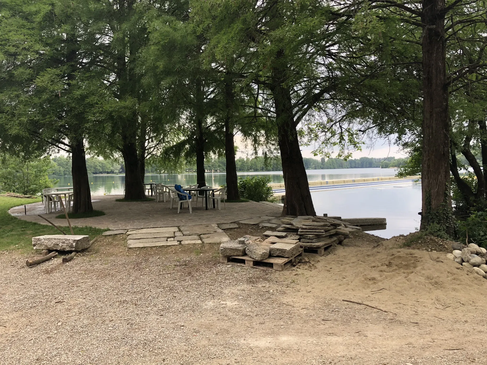 Grey Macau Pet levrieri location4