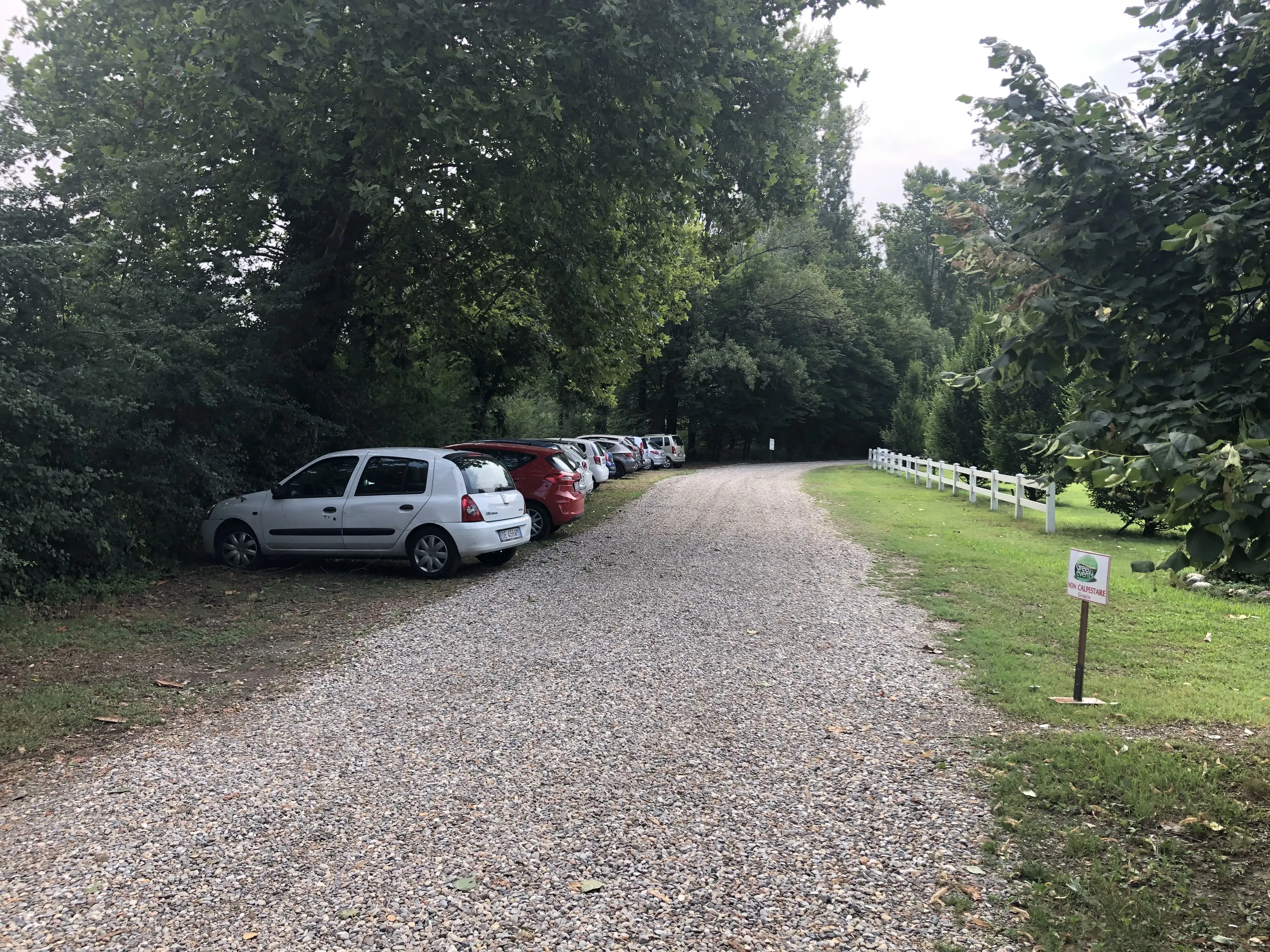 Grey Macau Pet levrieri location43