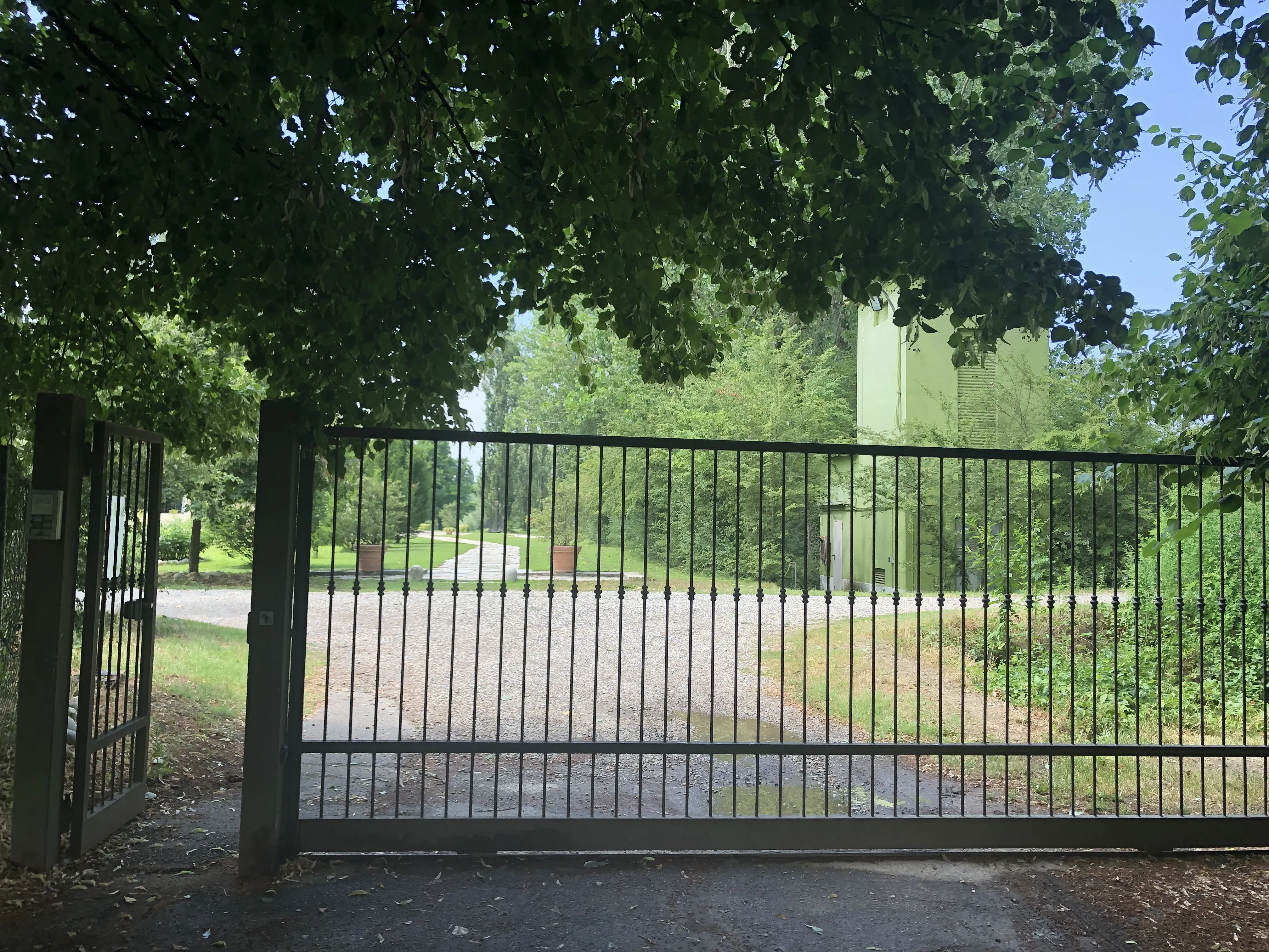 Grey Macau Pet levrieri location44