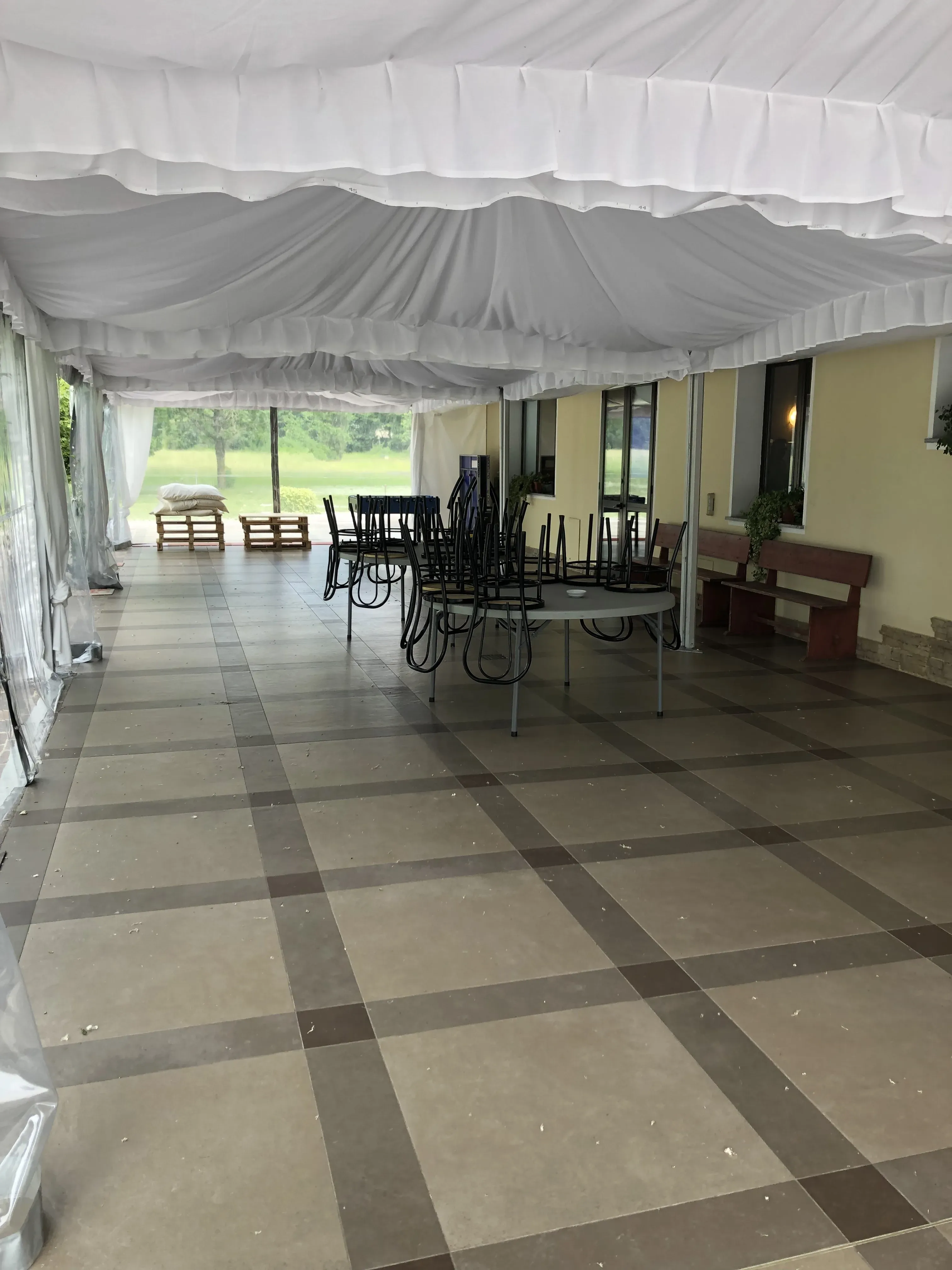 Grey Macau Pet levrieri location6