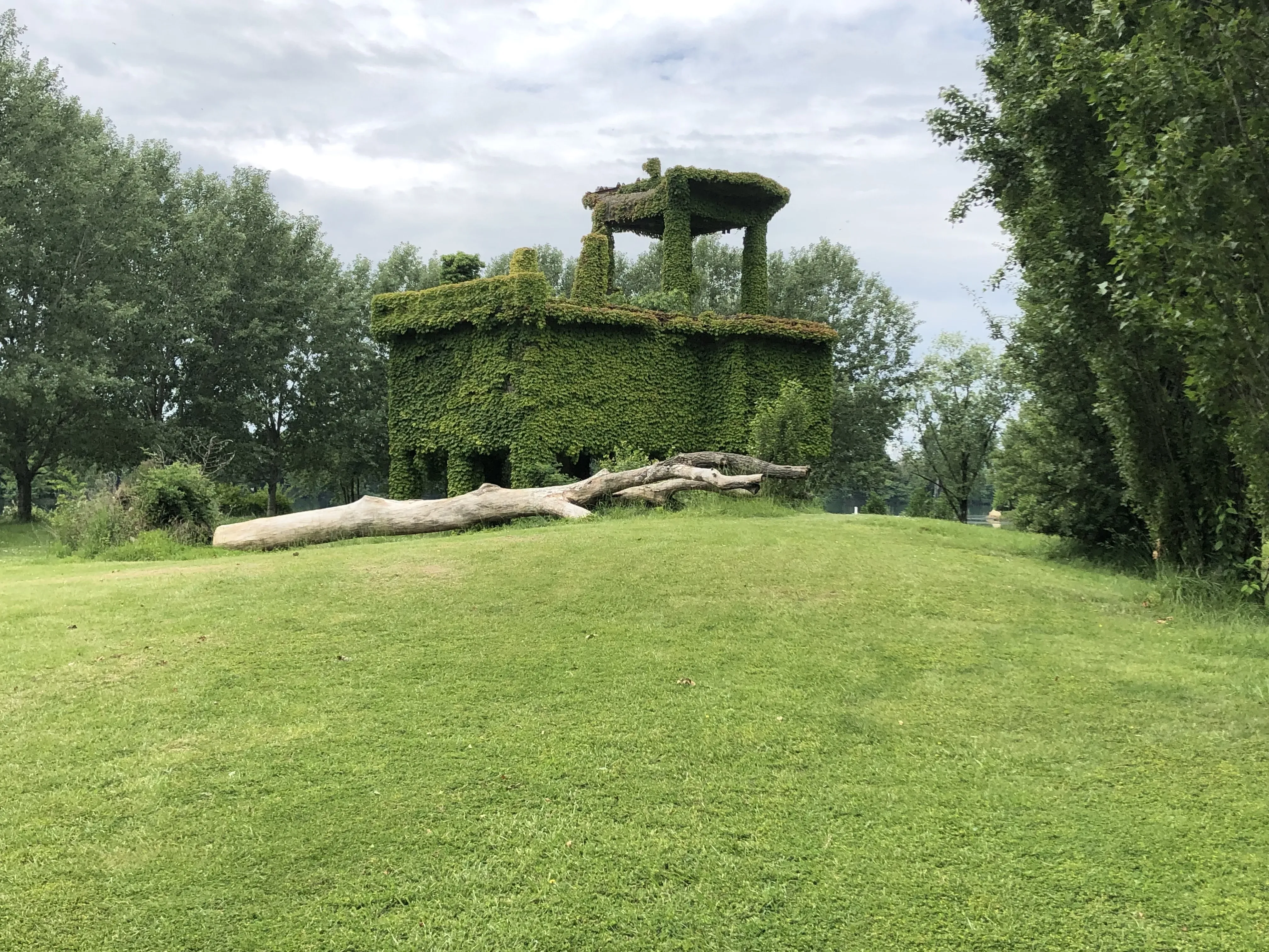 Grey Macau Pet levrieri location7