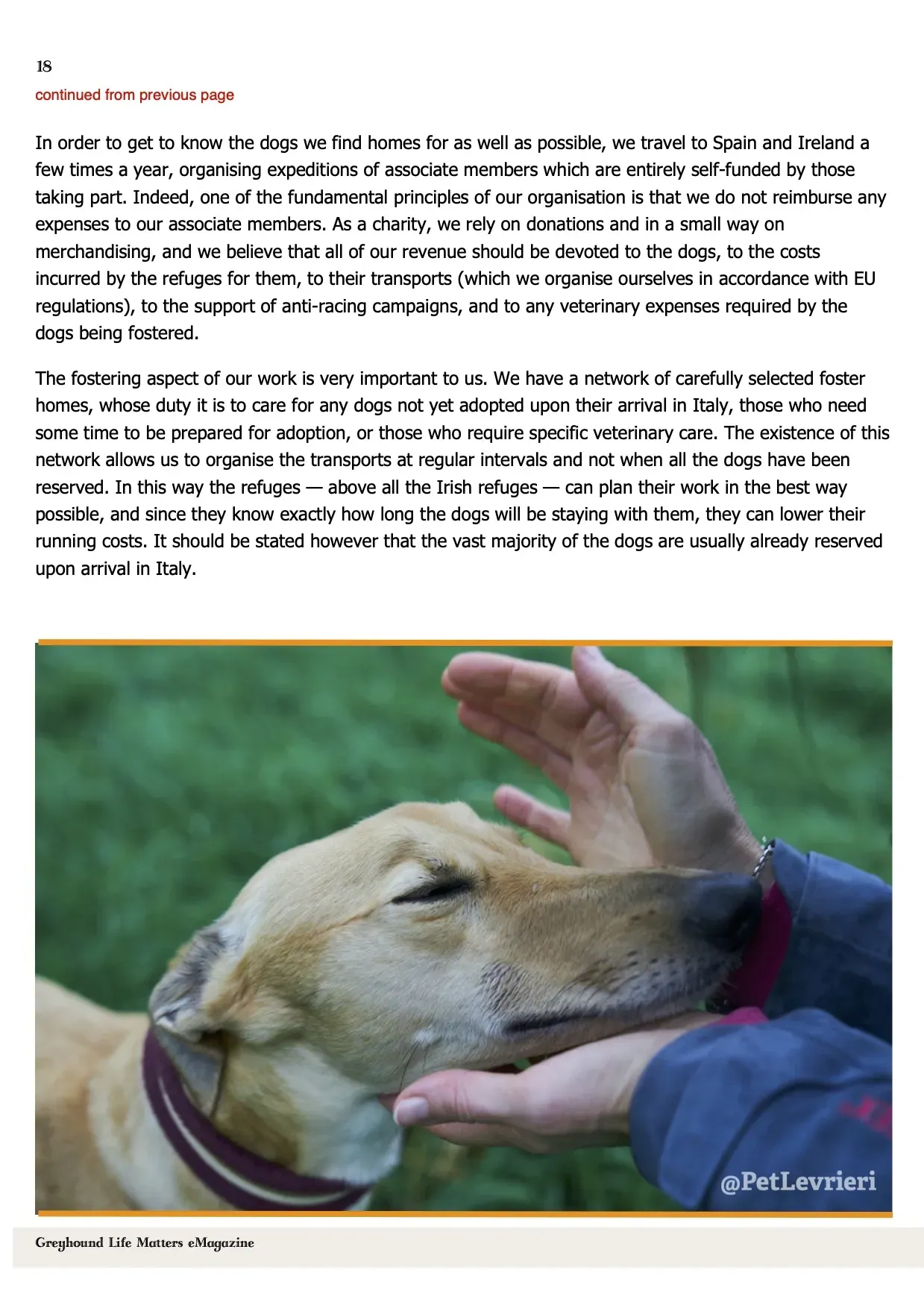 Greyhound Life Matters ISSUE 8 hirez 1