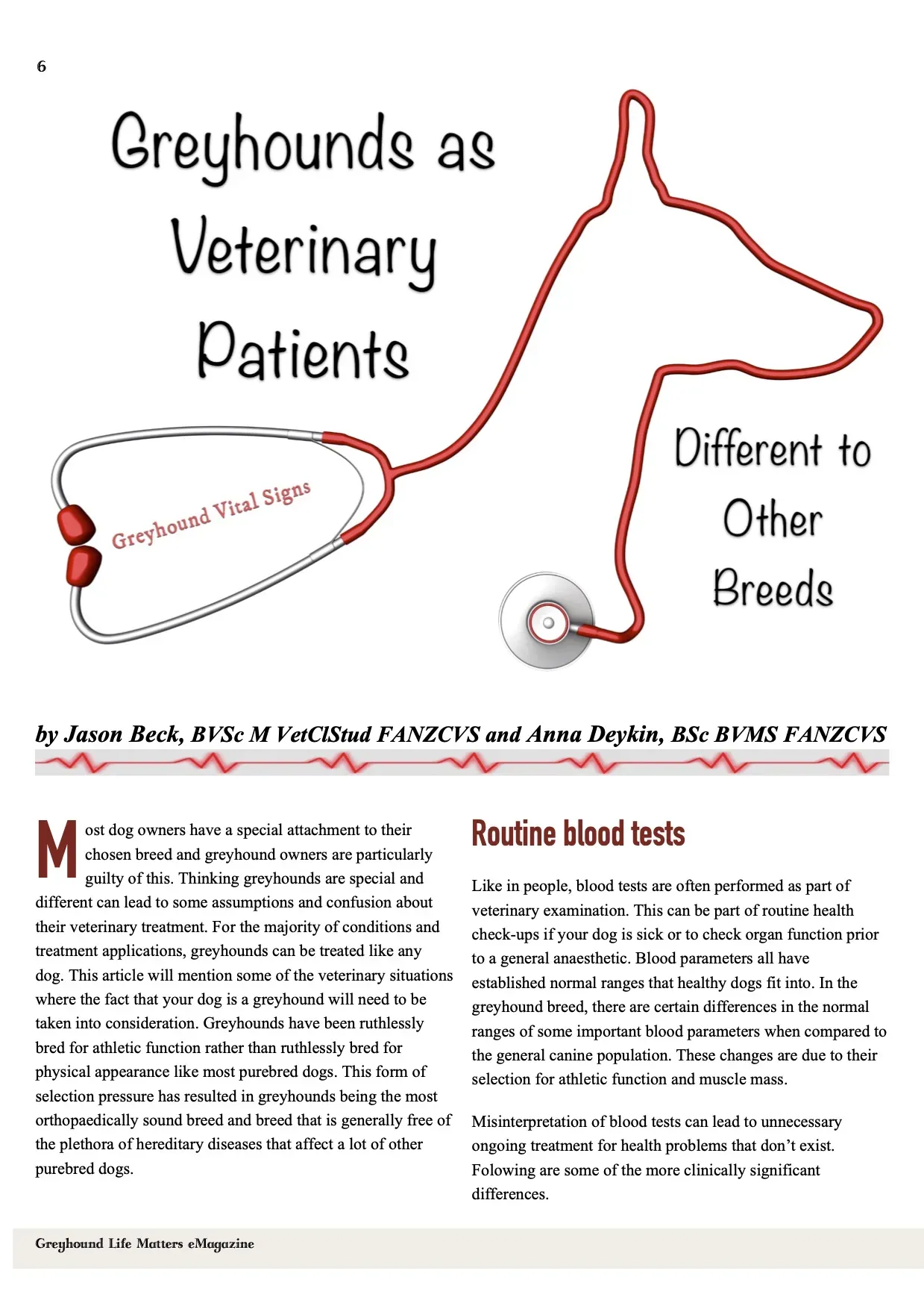 Greyhound Life Matters ISSUE 8 pet levrieri 1