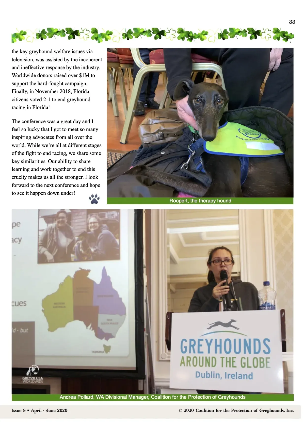 Greyhound Life Matters ISSUE 8 pet levrieri 12