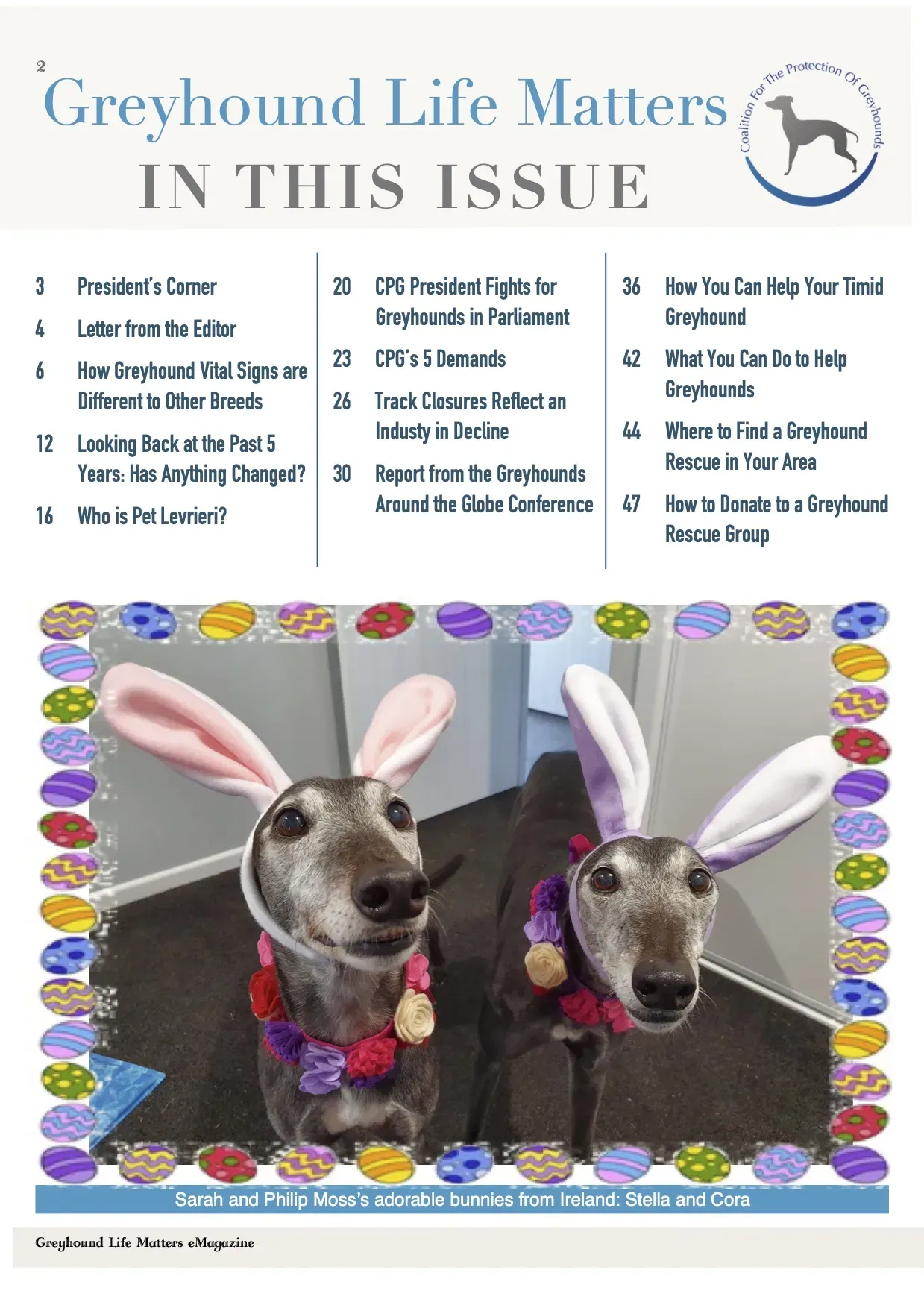 Greyhound Life Matters ISSUE 8 pet levrieri 14