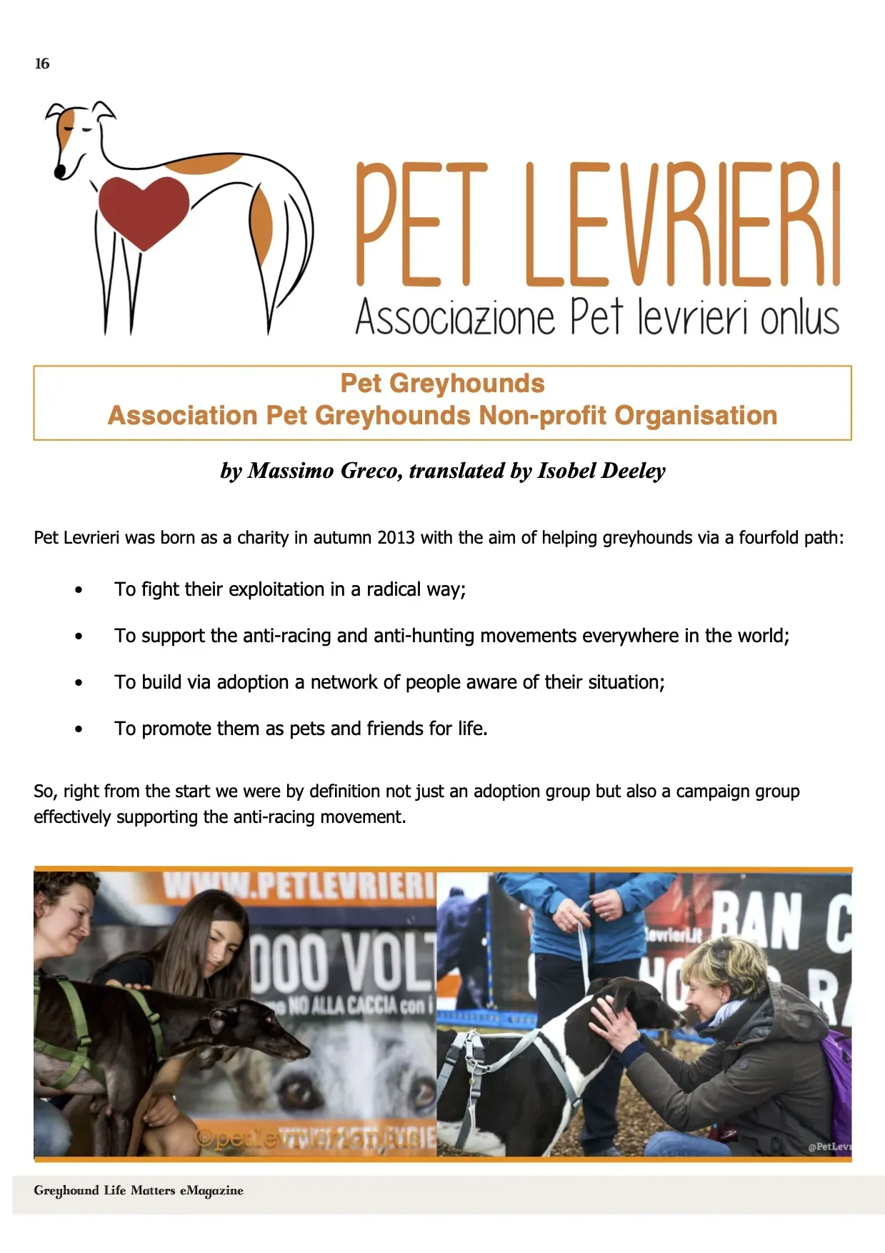 Greyhound Life Matters ISSUE 8 pet levrieri 5