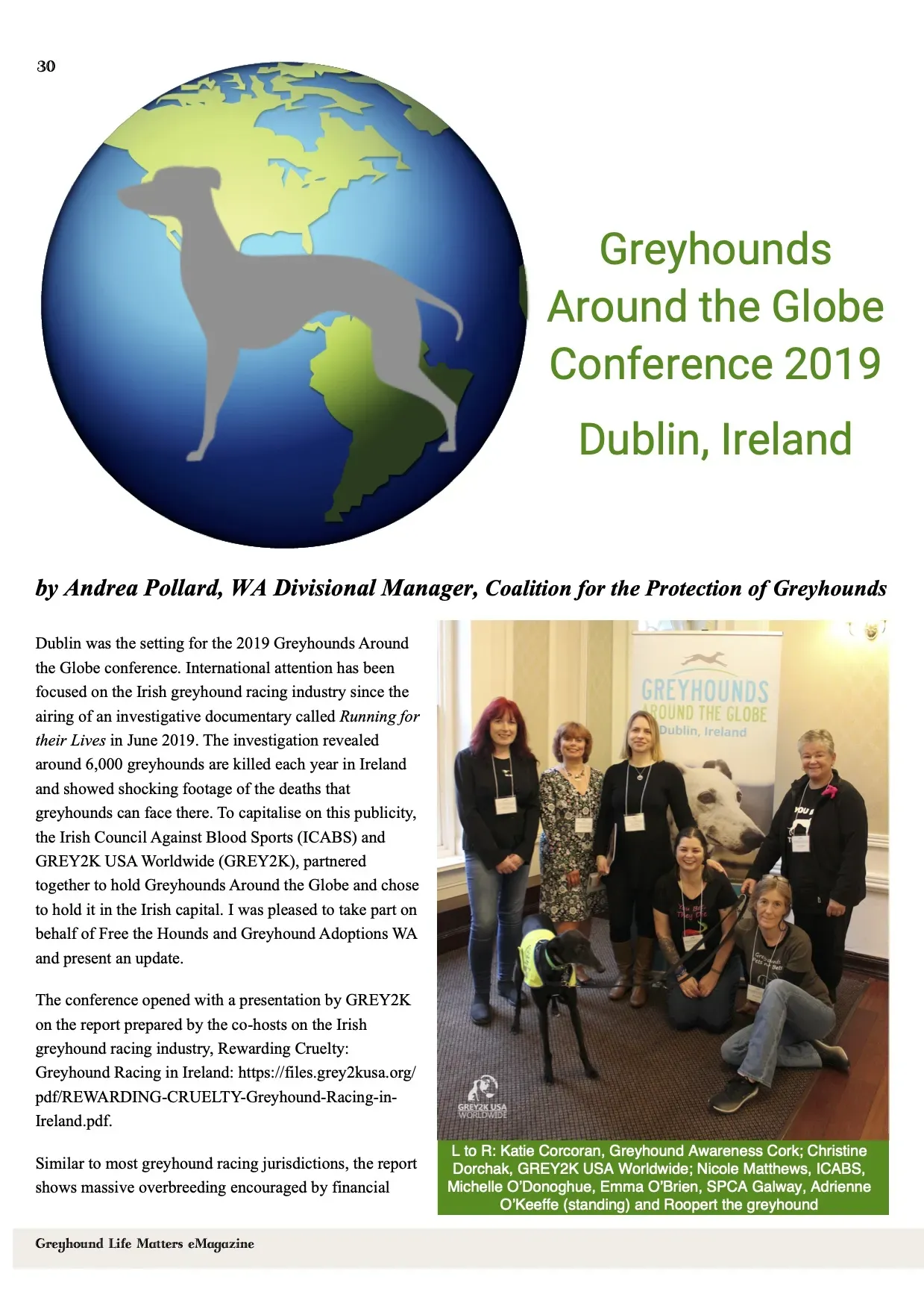 Greyhound Life Matters ISSUE 8 pet levrieri 9