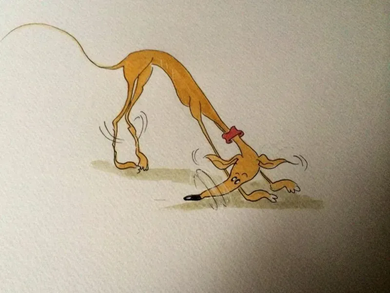 Greyhound yoga position Number 524 Wipe snout on carpet AKA Carpet flannel