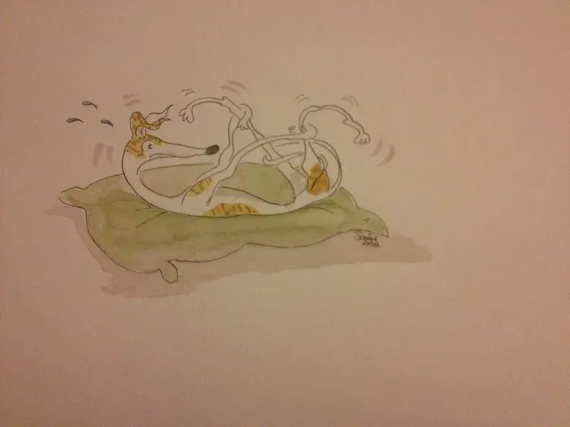 Greyhound yoga position number 1 Please untangle me.....