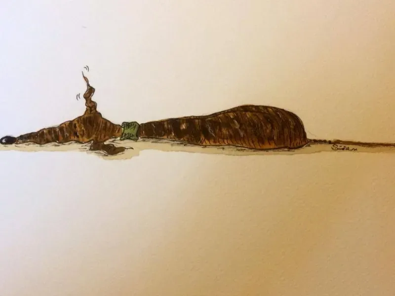 Greyhound yoga position number 13 Sleeping with one ear open