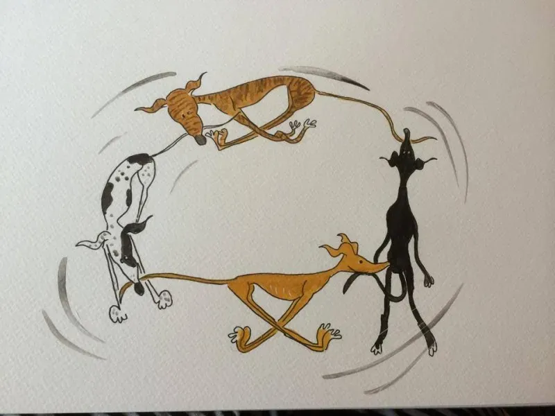 Greyhound yoga position number 141 The daisy chain