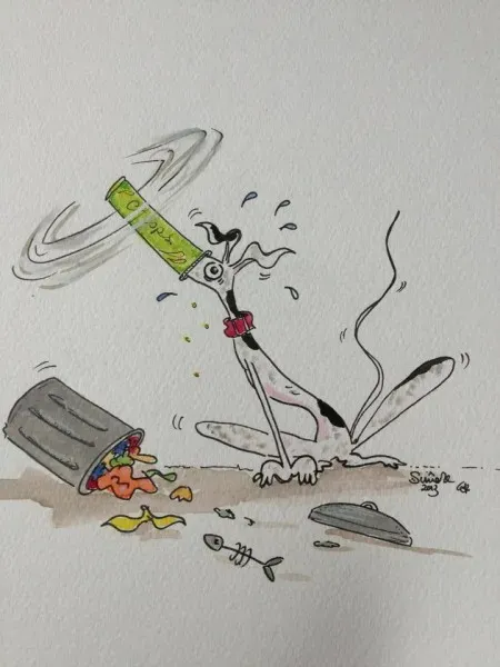 Greyhound yoga position number 211 The recycler