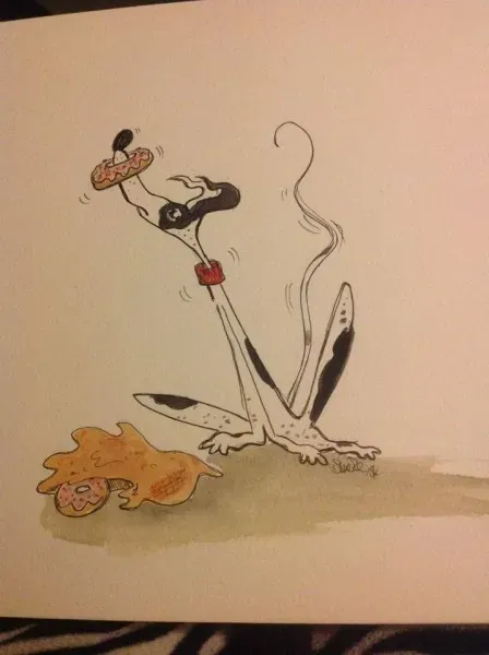 Greyhound yoga position number 22 Doughnut fail....