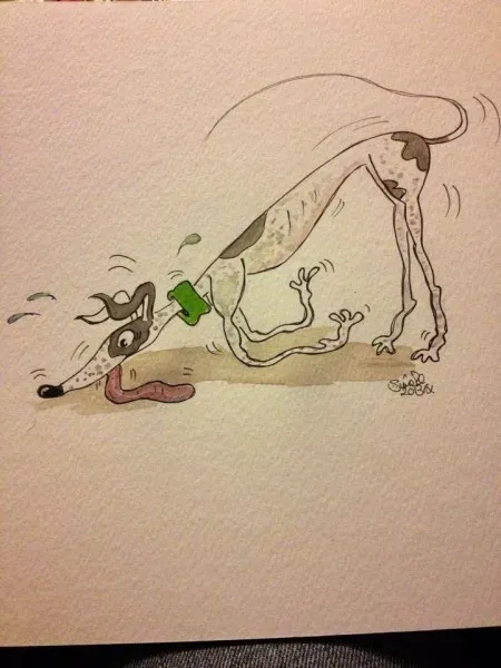 Greyhound yoga position number 25 Tongue stuck to carpet