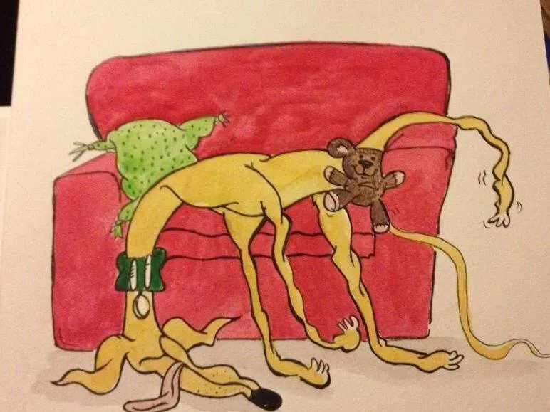 Greyhound yoga position number 4 Some one has stolen my skeleton whilst I napped.