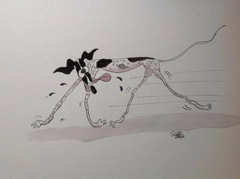 Greyhound yoga position number 521 Runs like a lunatic 