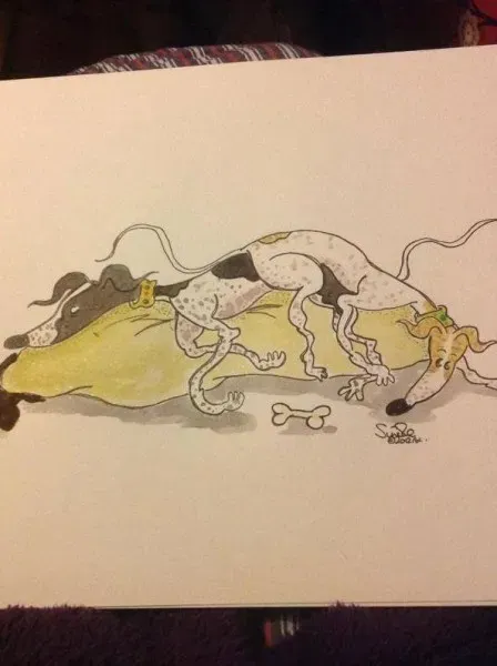 Greyhound yoga position number 601 The stack