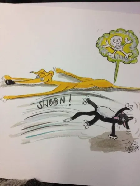 Greyhound yoga position number 72 Being cat friendly AKA Sharing is caring