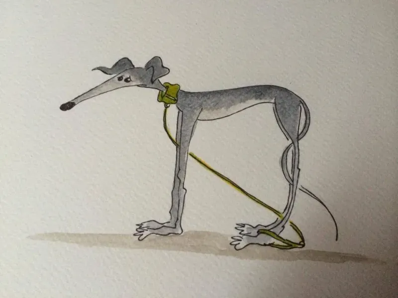 Greyhound yoga position number 771 The Statue AKA cannot move someone is holding my leash