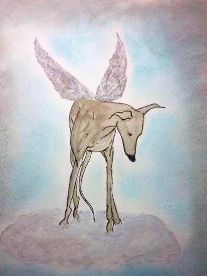 Greyhound yoga position number 901 Watching over you 