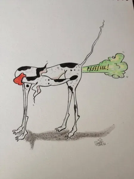 Greyhound yoga position number 99 a stretch too far AKA where did that come from