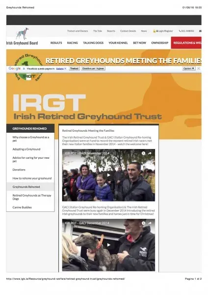 Greyhounds Rehomed 1