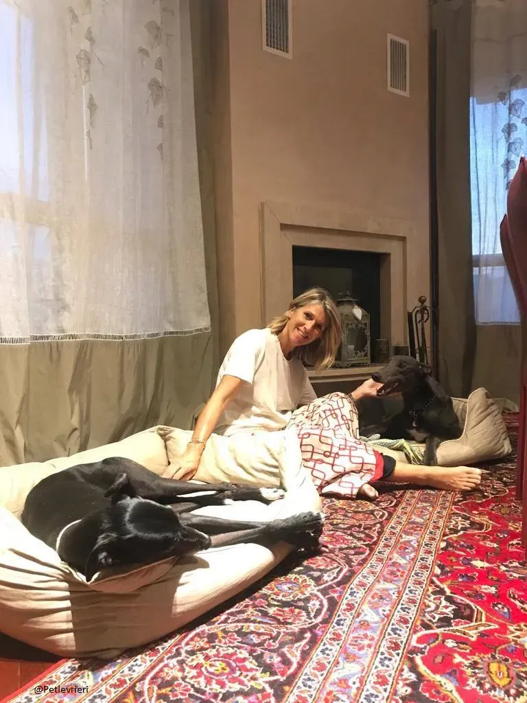 Guci Greyhound Adozione Pet Levrieri Blue Foster 6