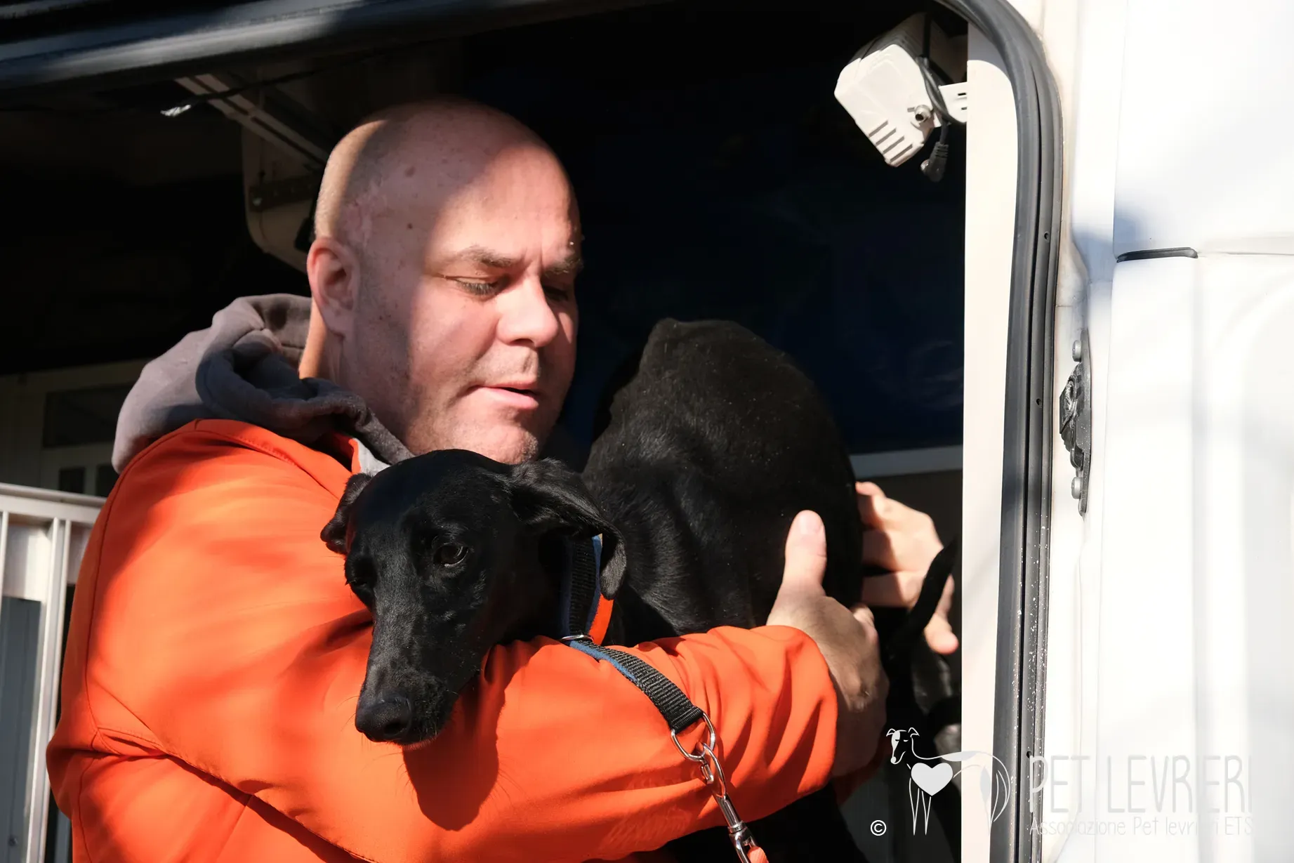 Hada Galgo femmmina nera arrivo 01