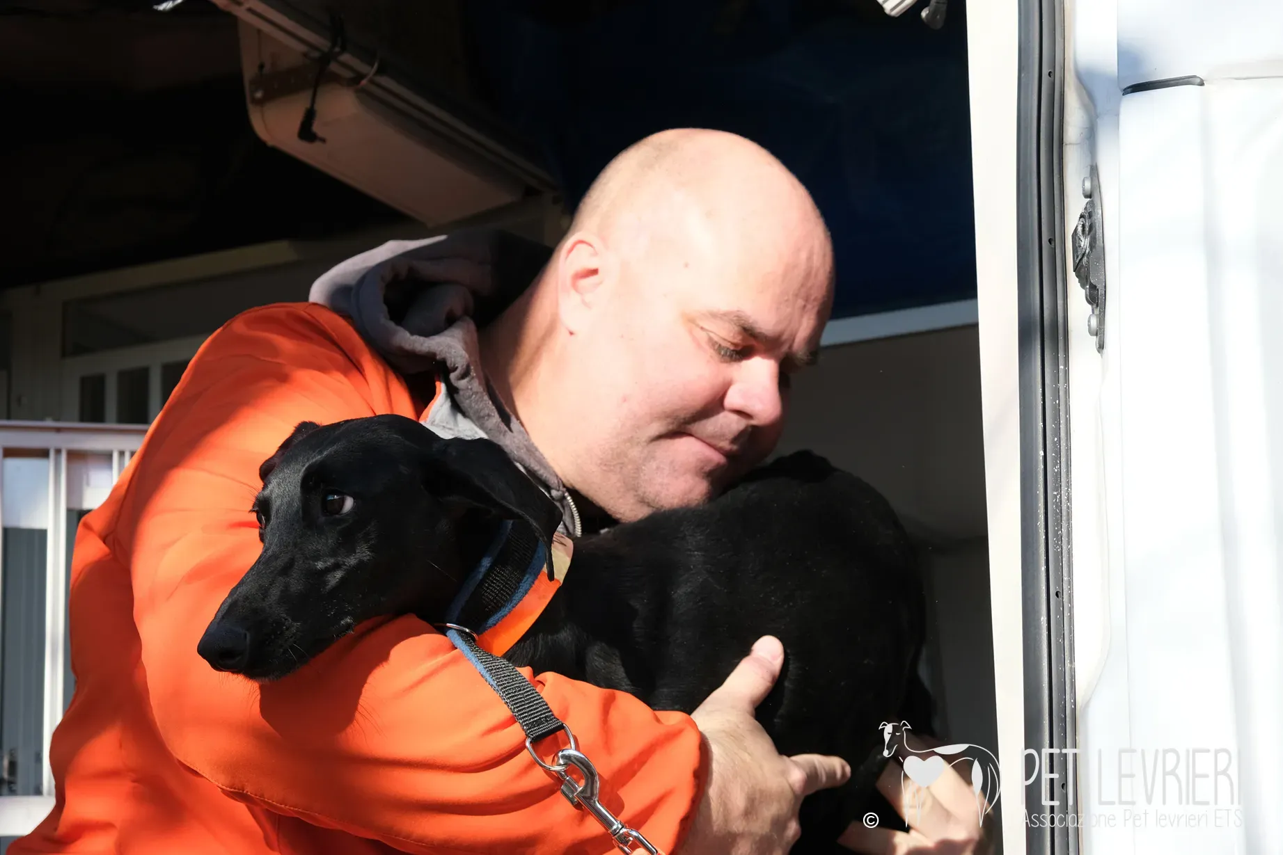 Hada Galgo femmmina nera arrivo 02