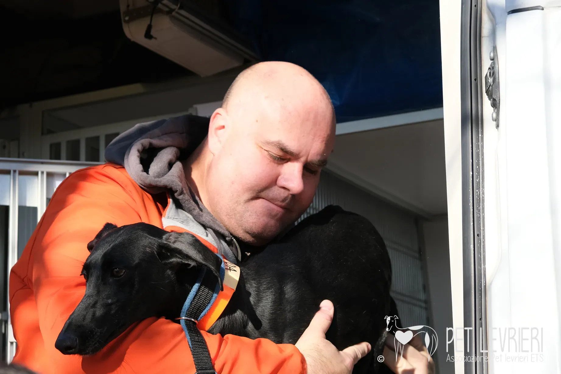 Hada Galgo femmmina nera arrivo 03