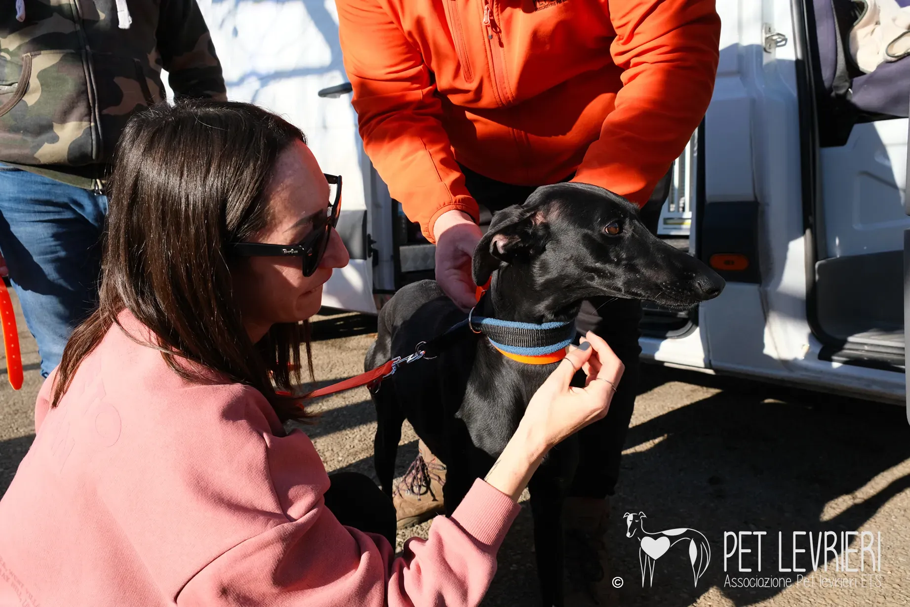 Hada Galgo femmmina nera arrivo 05