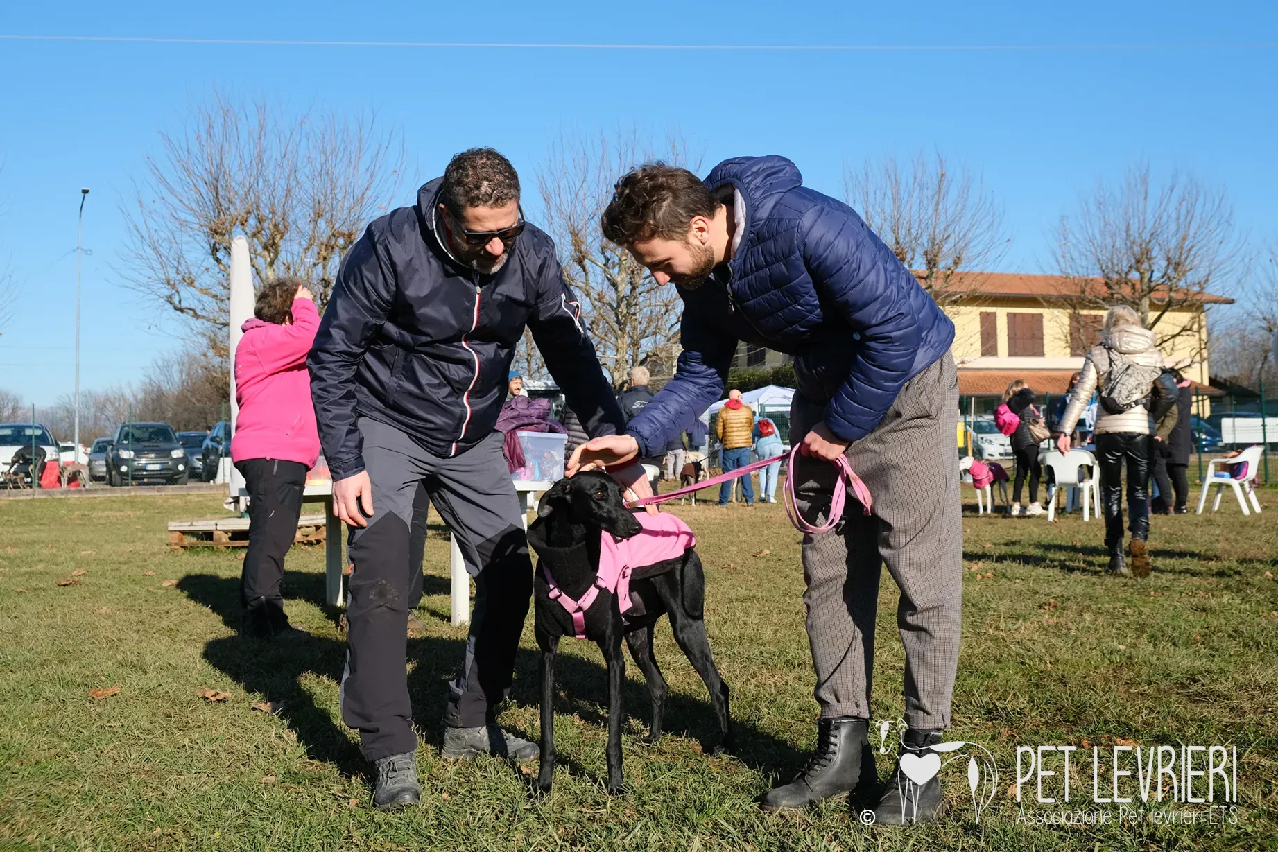 Hada Galgo femmmina nera arrivo 21